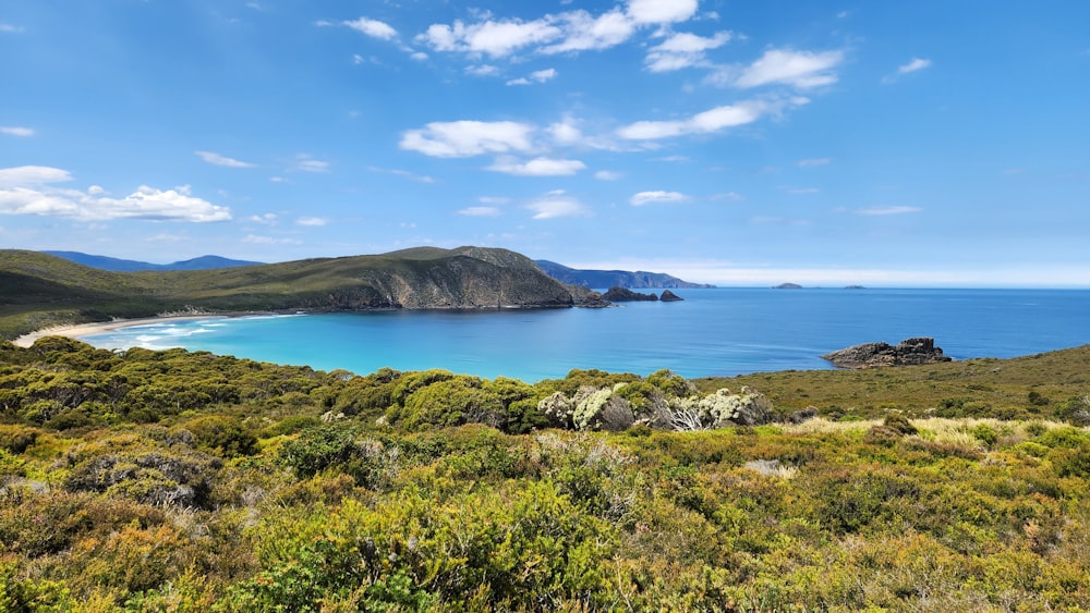 a scenic view of a beach and a body of water