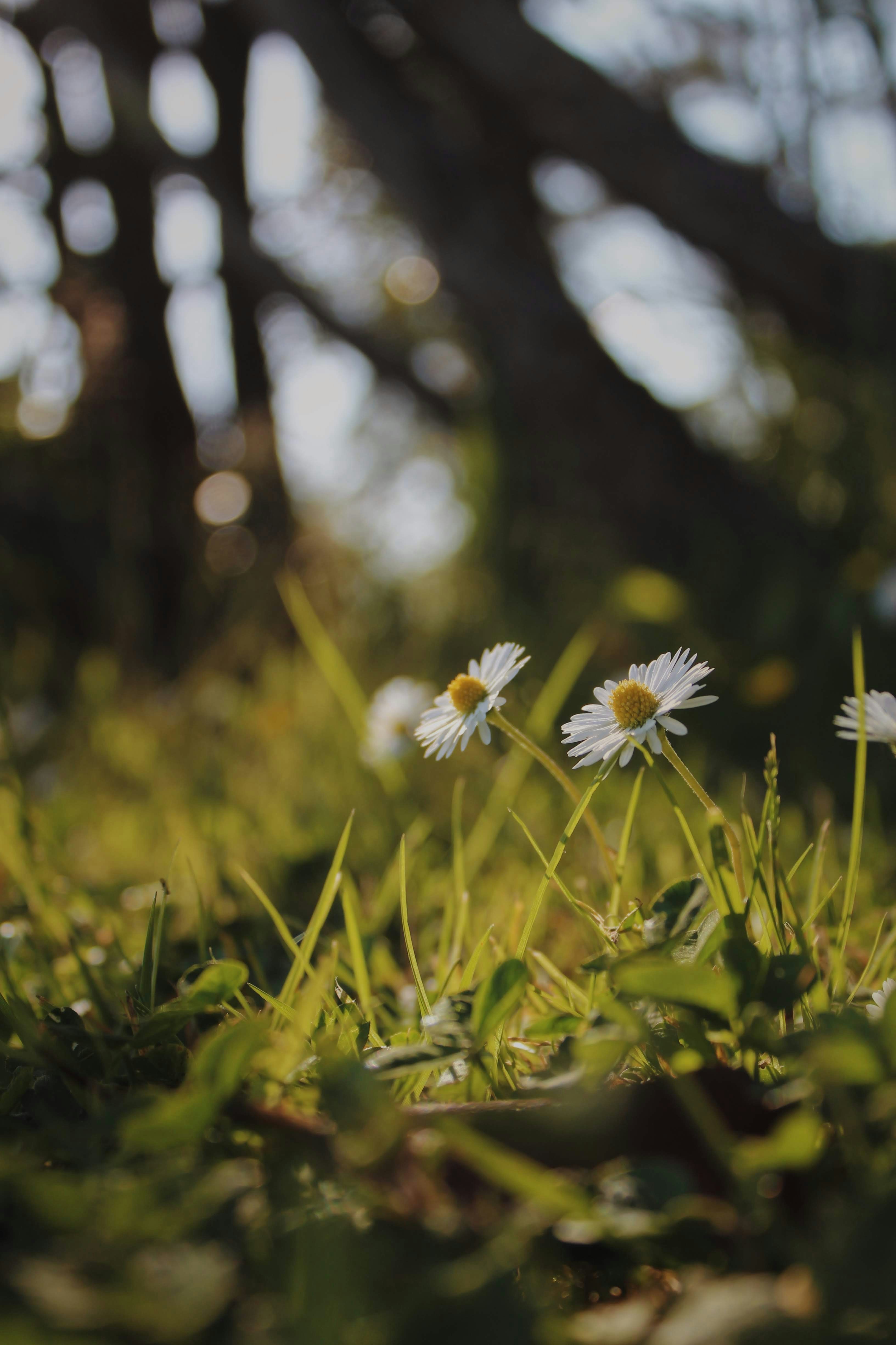 Photo by larisarunova