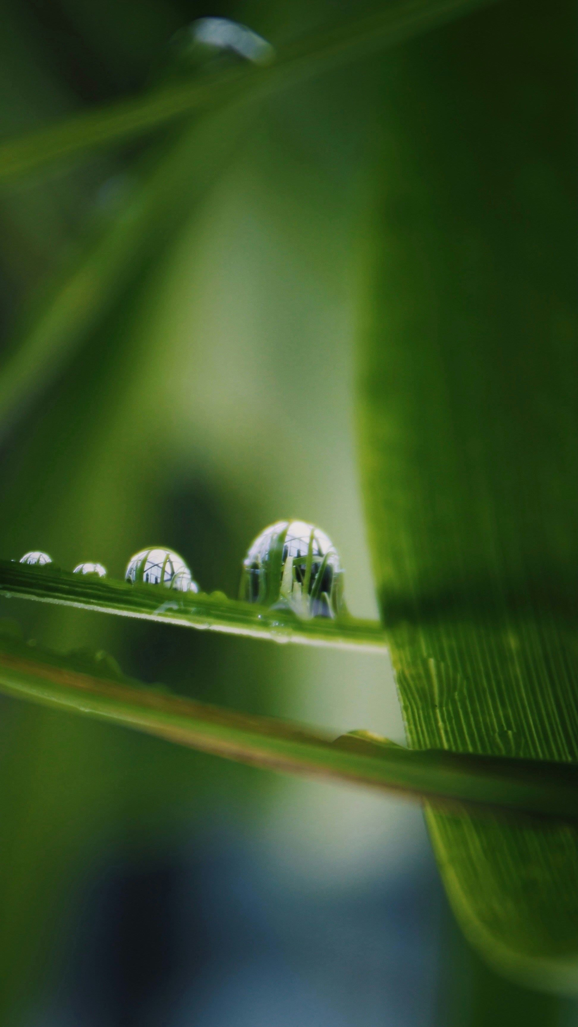 Photo by larisarunova