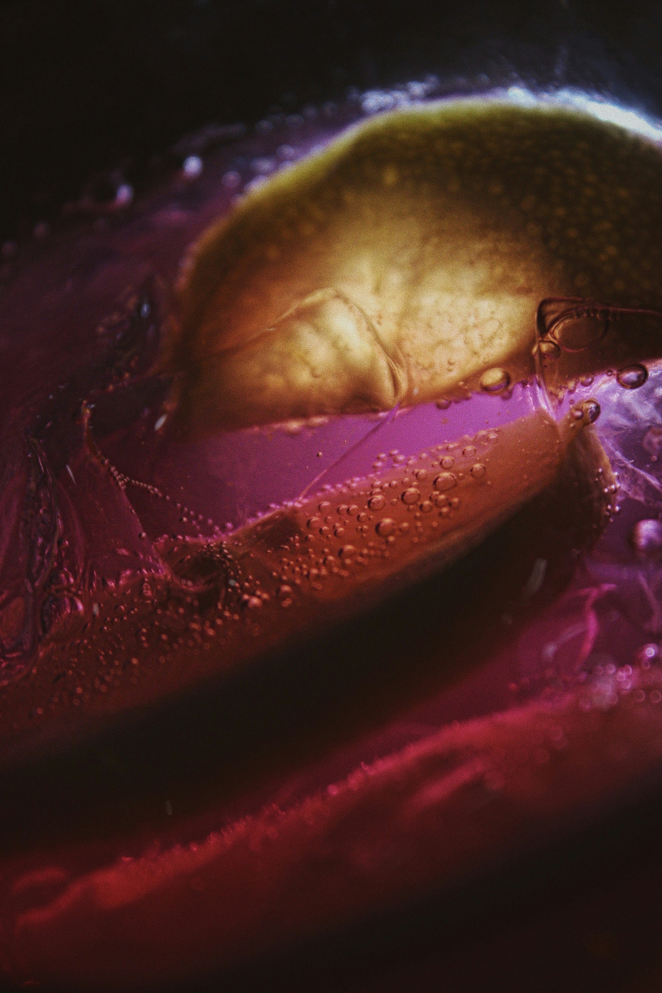 Photo by larisarunova