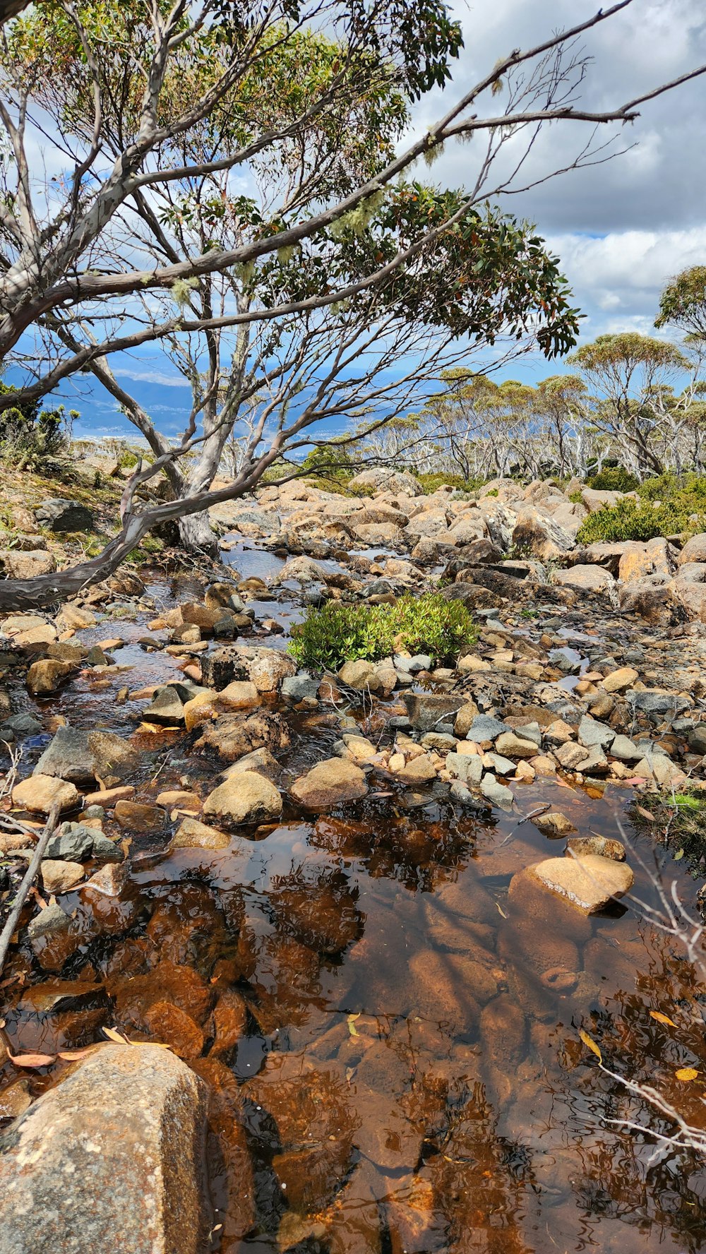 a small stream of water surrounded by rocks and trees