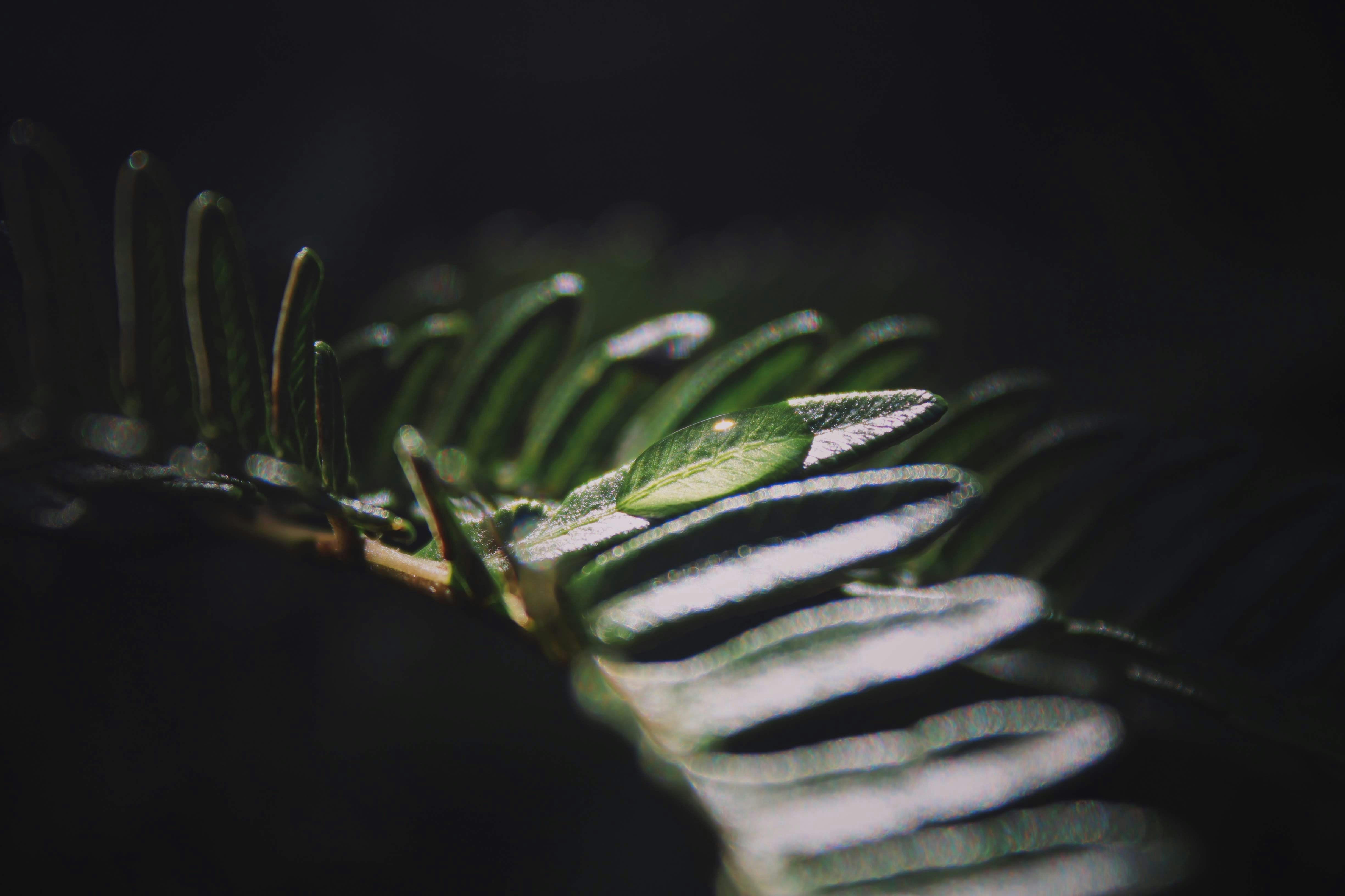 Photo by larisarunova