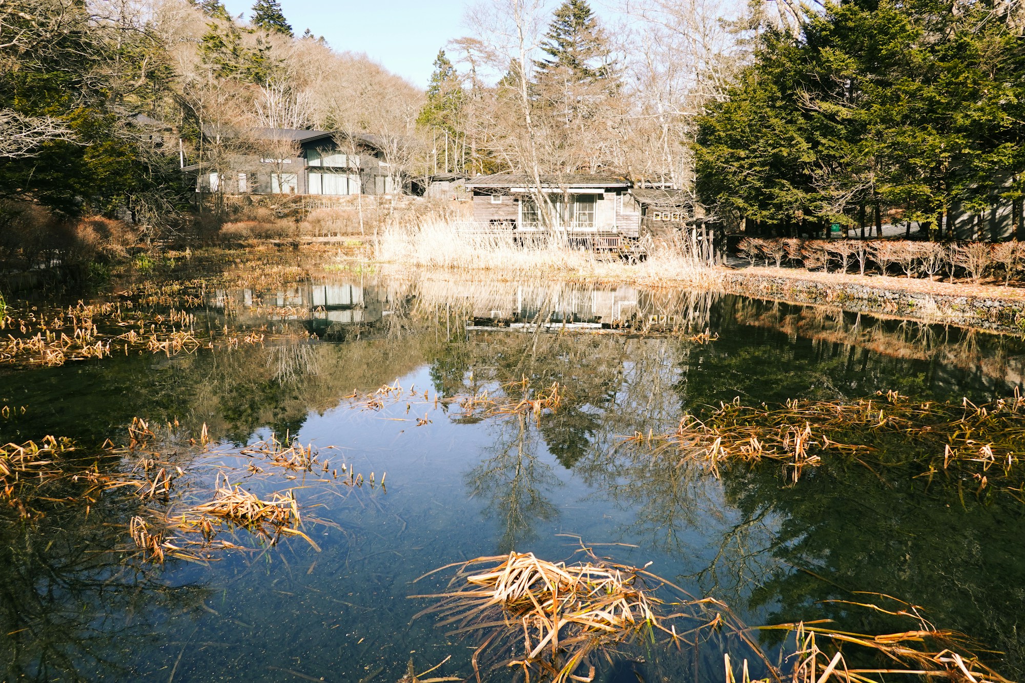 Exploring Karuizawa: Culture, Customs & Festivals Guide