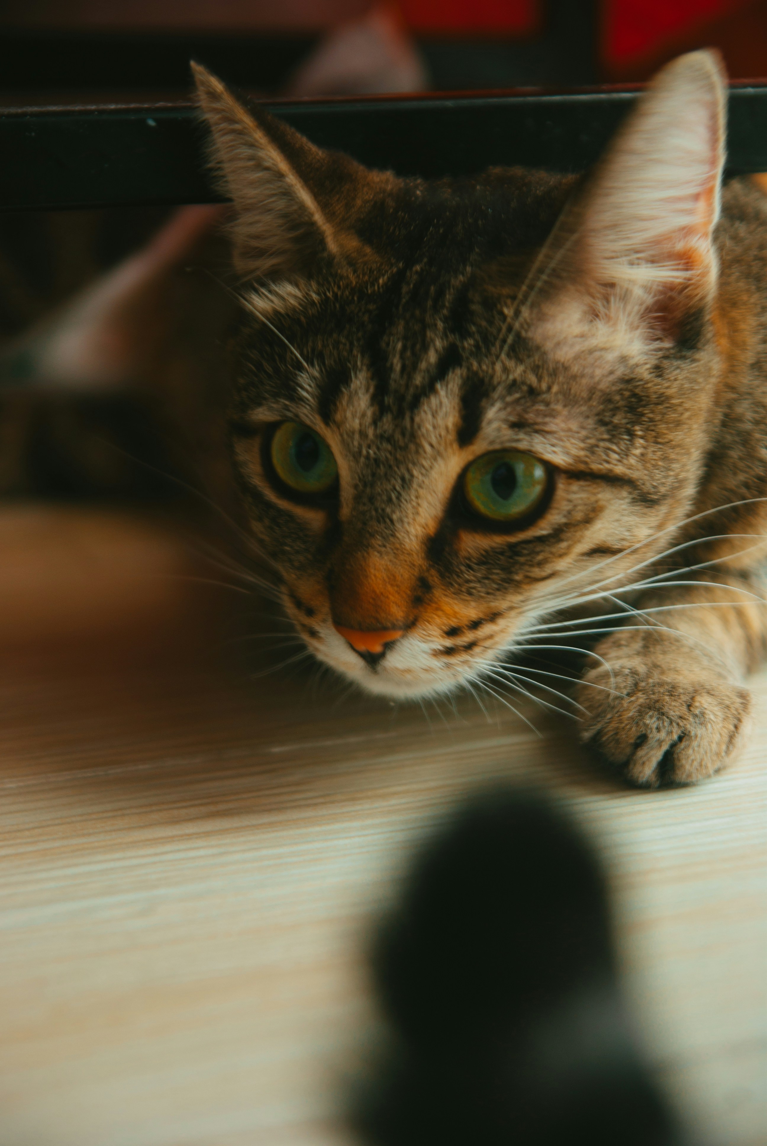 Photo by moonmoons_days