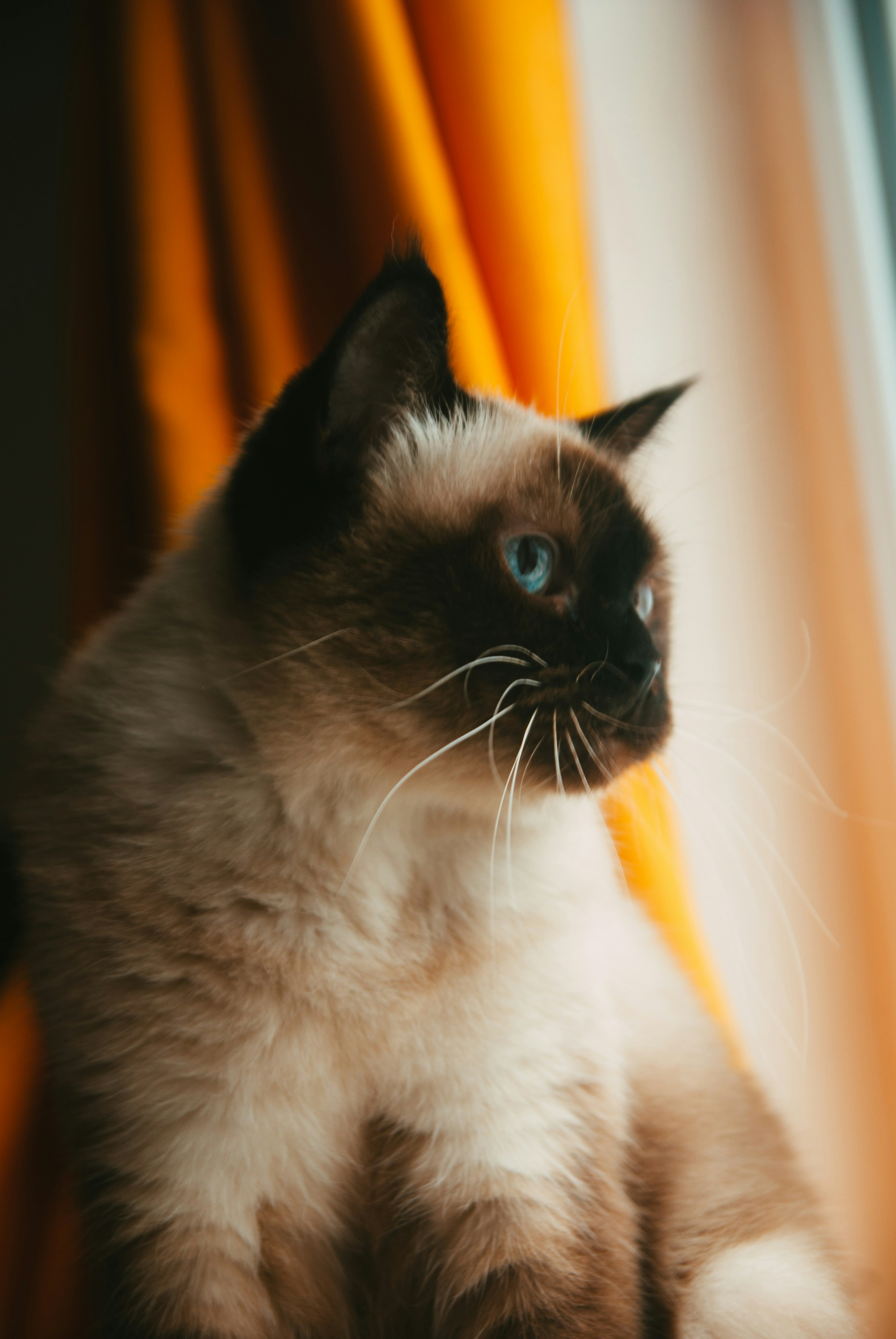 Photo by moonmoons_days