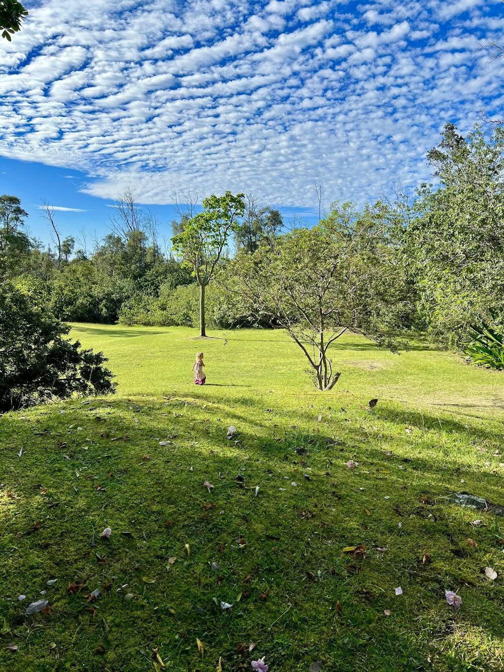 a person standing on a lush green field