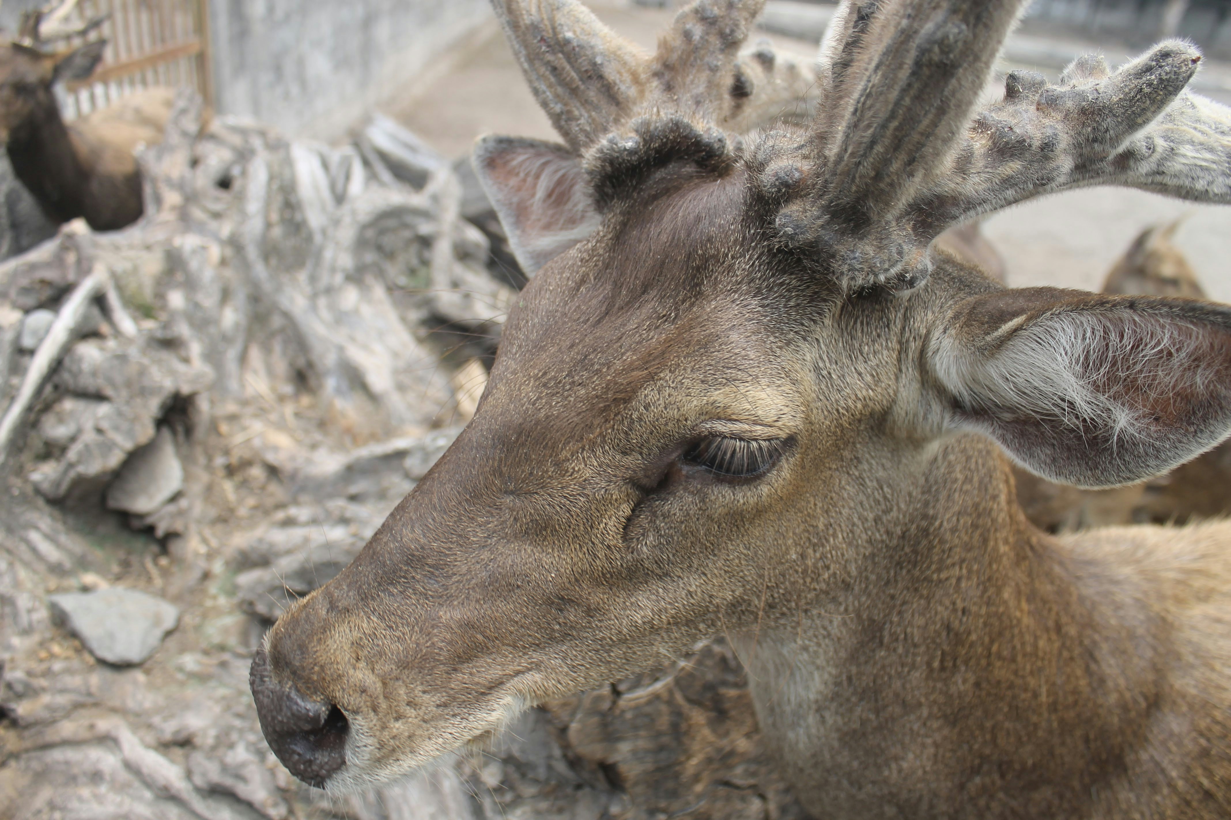 Photo by gilangmelian