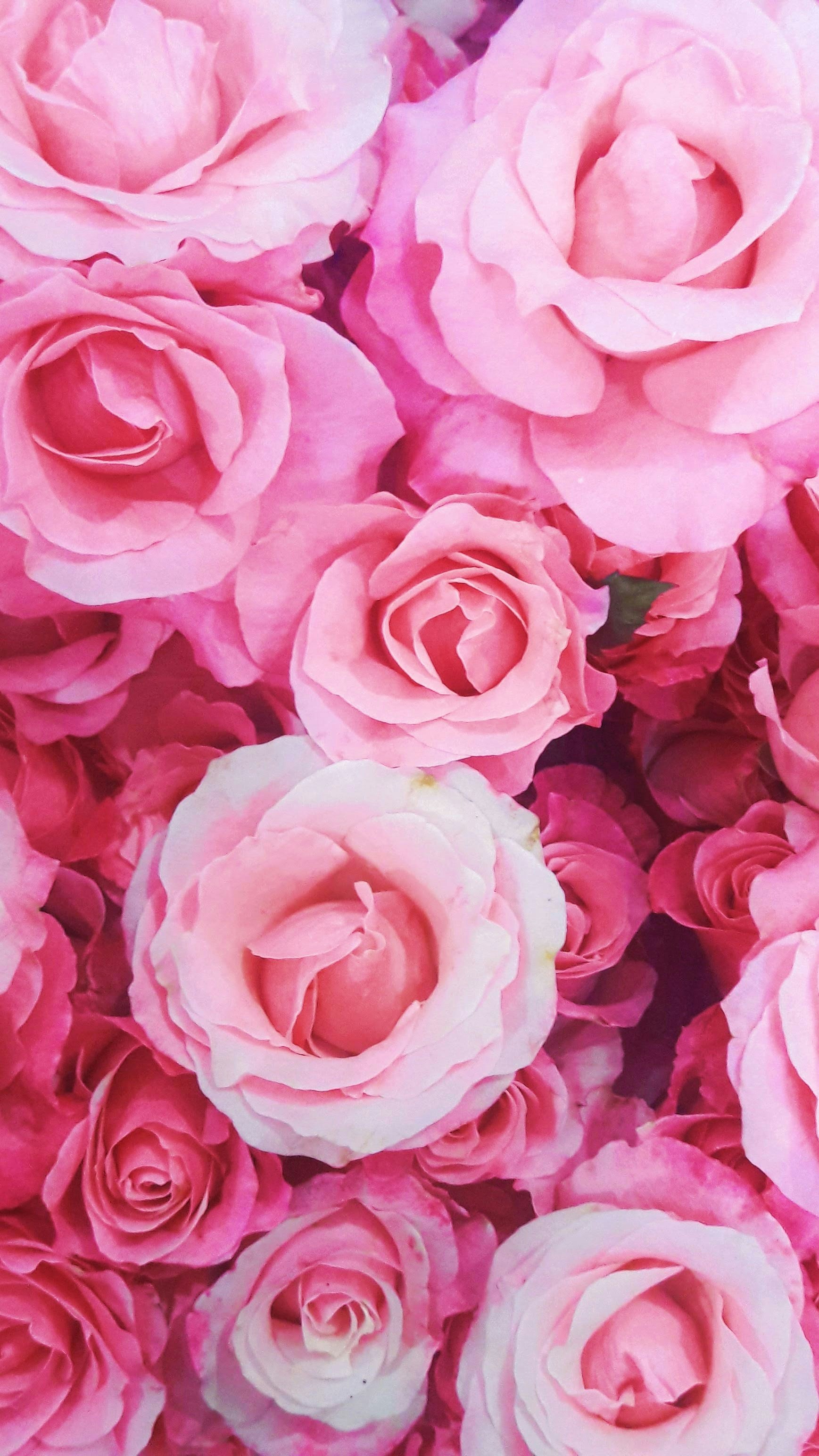 Photo by gilangmelian