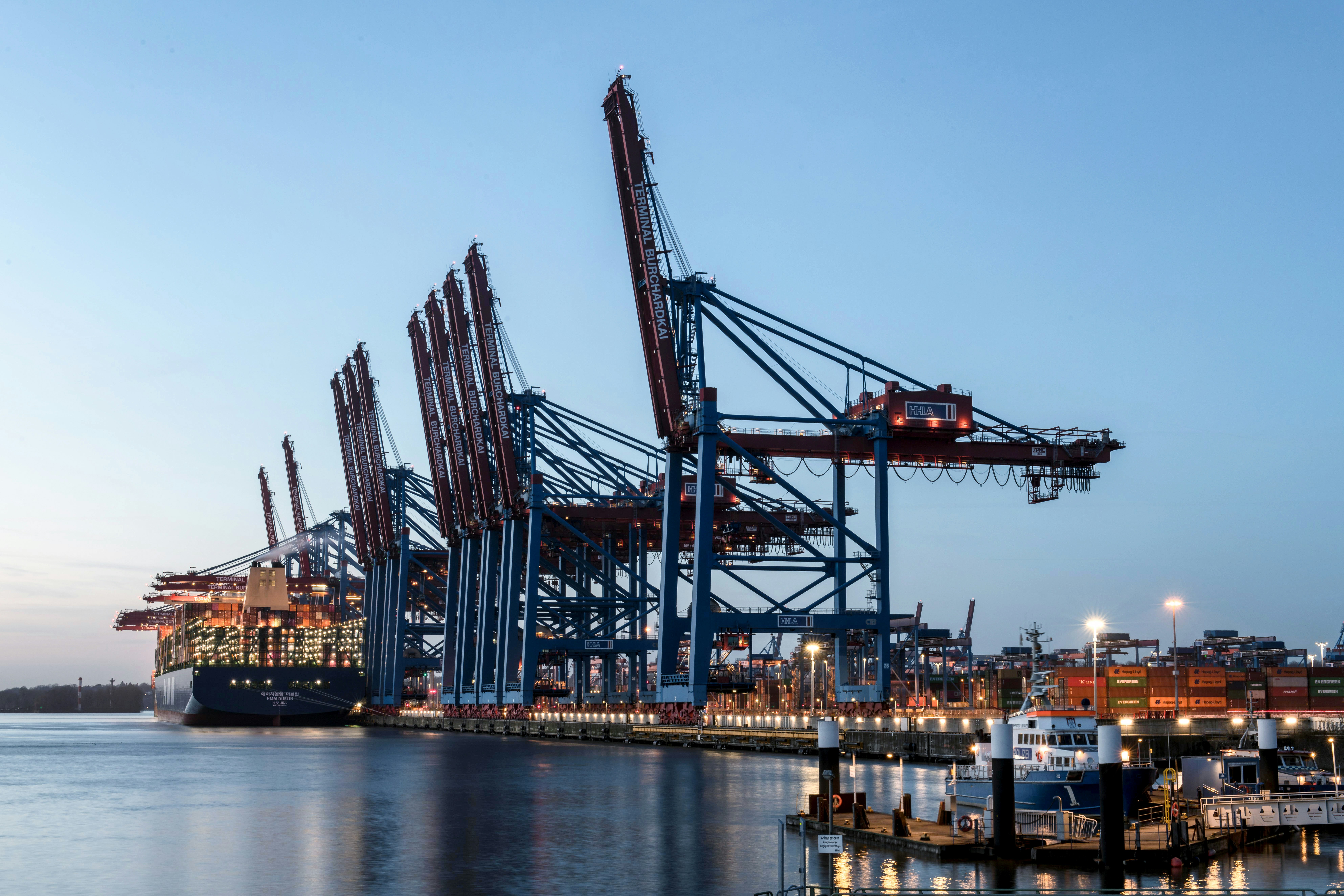 a harbor filled with lots of large cranes