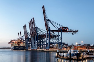 a harbor filled with lots of large cranes