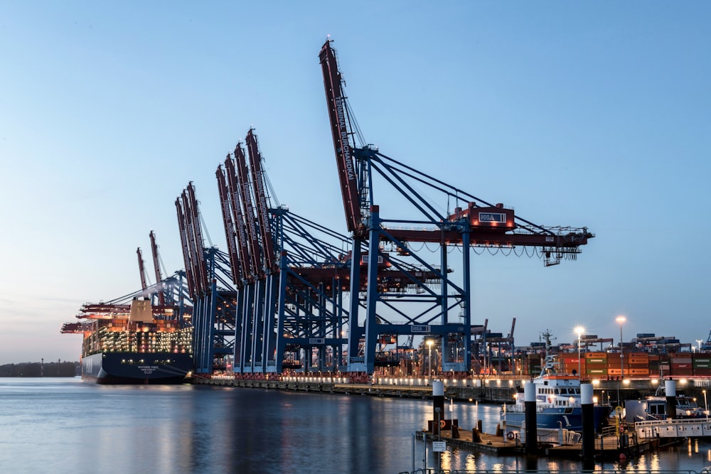 a harbor filled with lots of large cranes