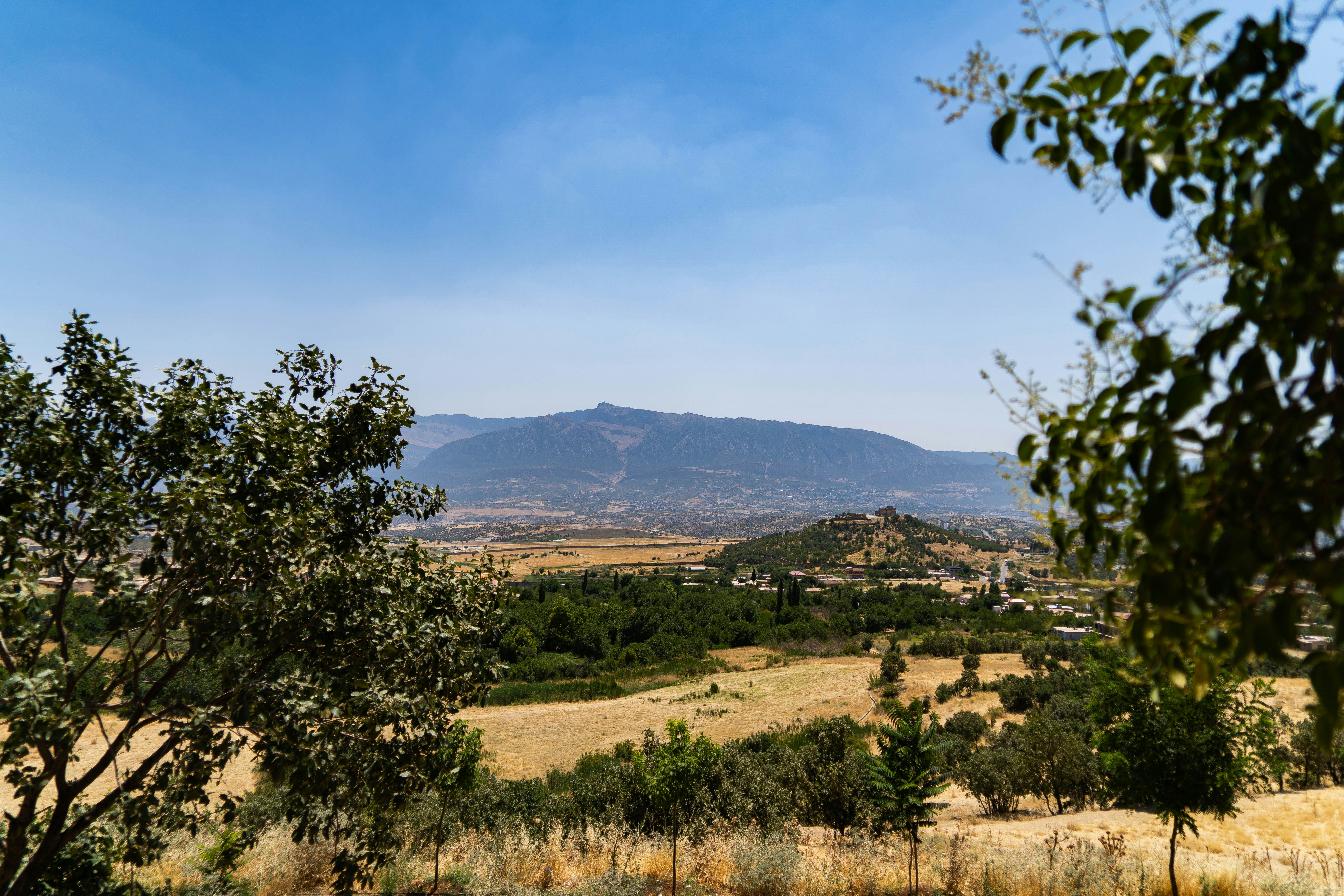 Photo by iraqienkidu