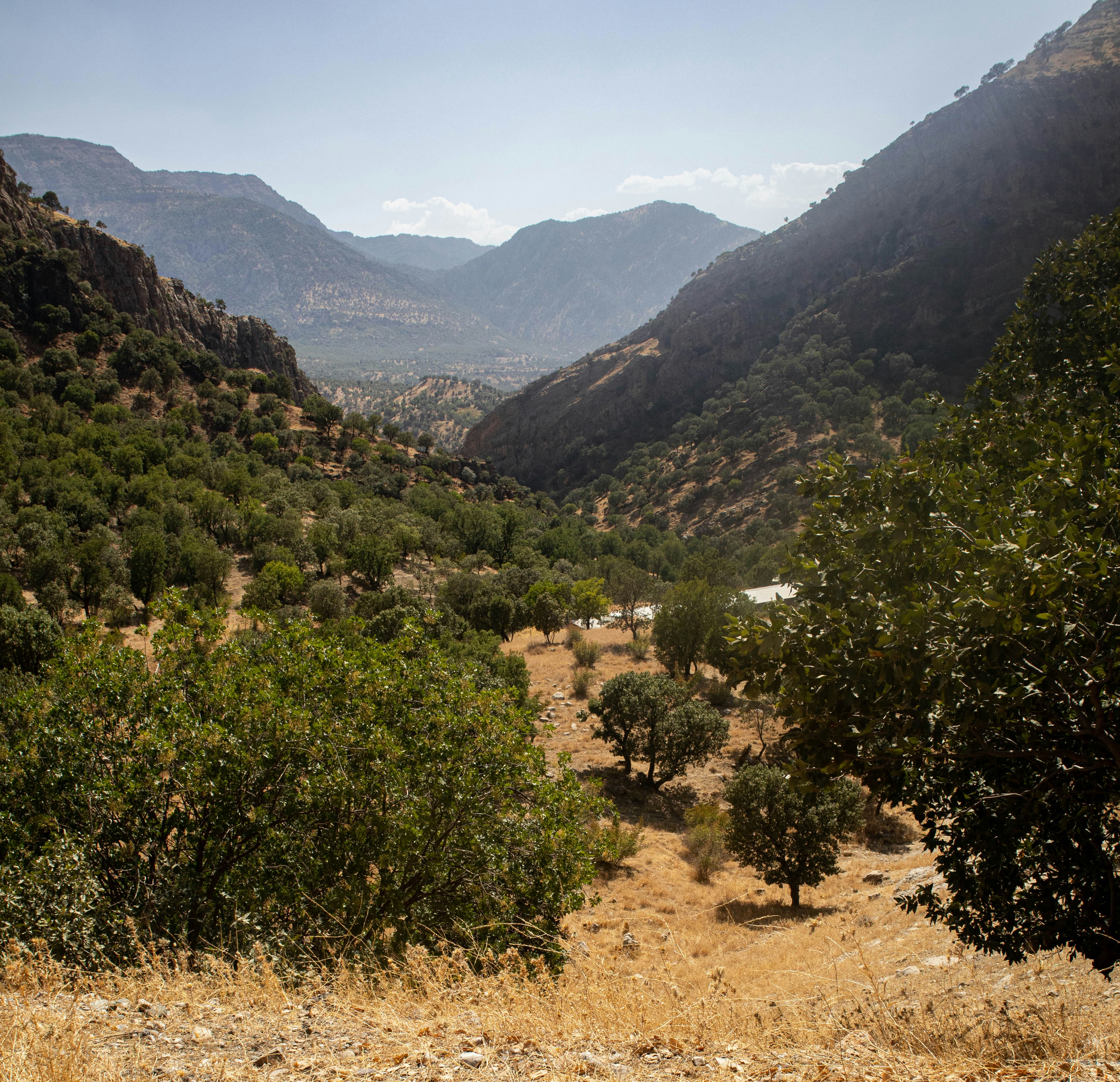 a view of a valley with mountains in the background