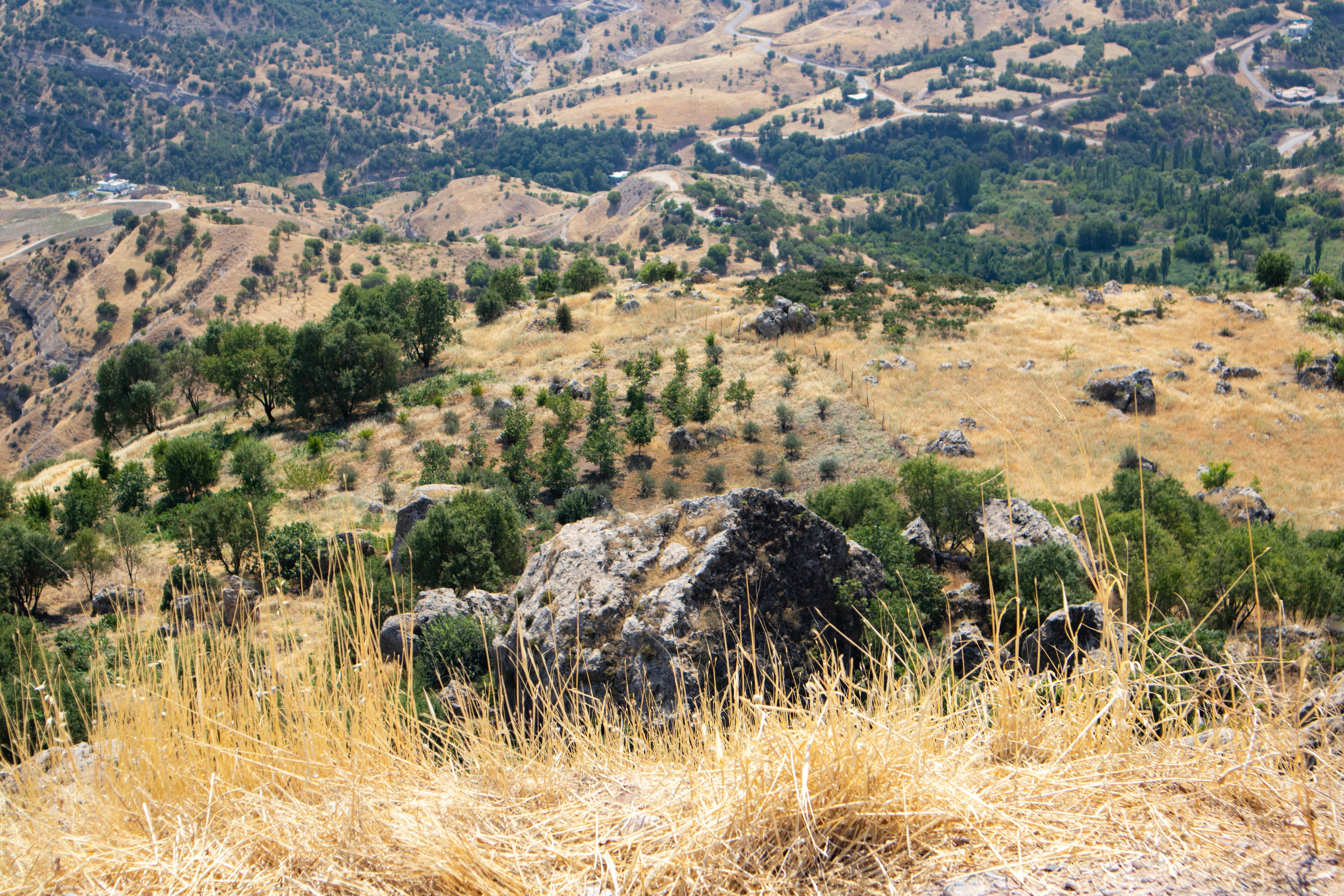 Photo by iraqienkidu