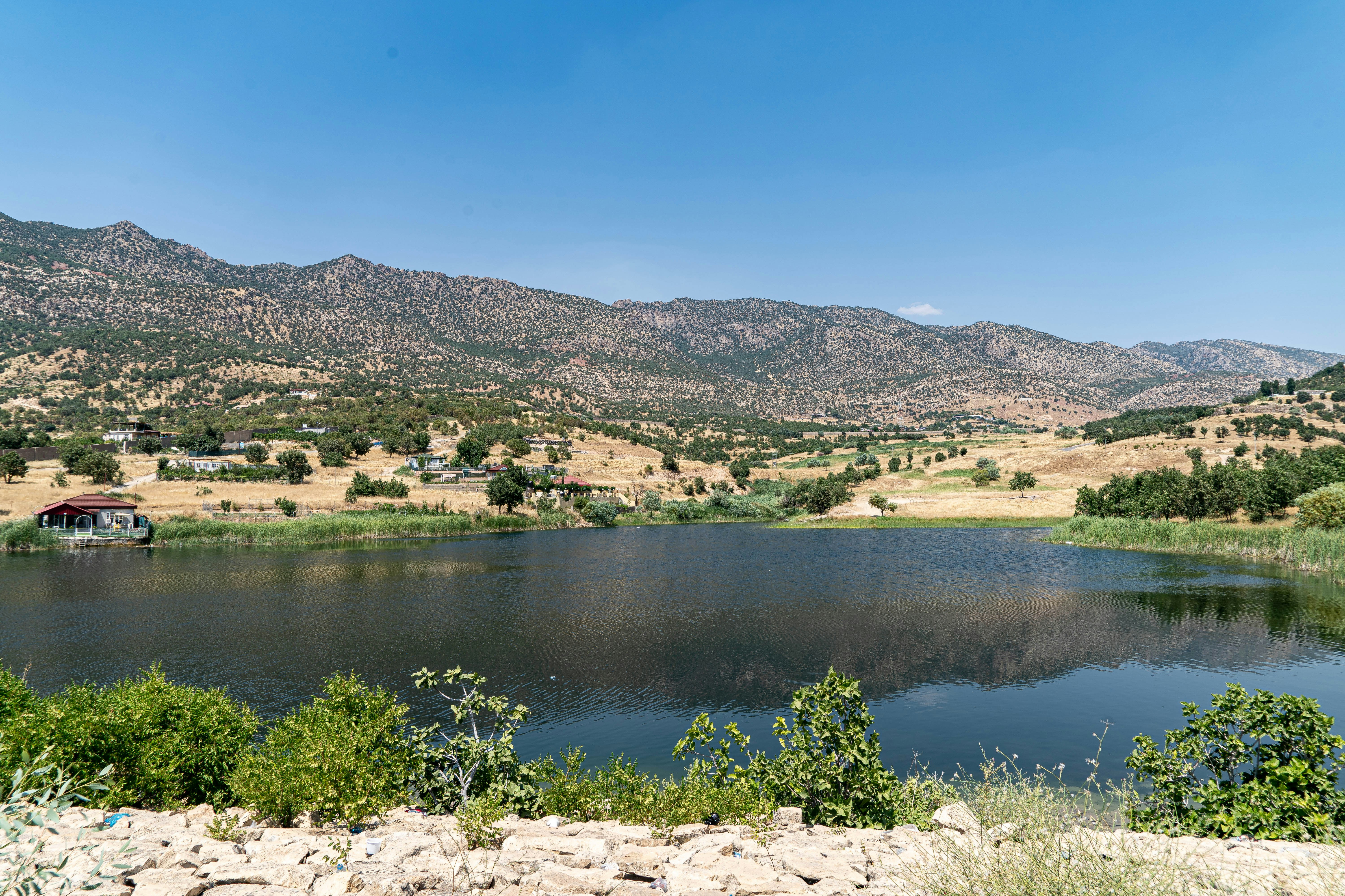 Photo by iraqienkidu