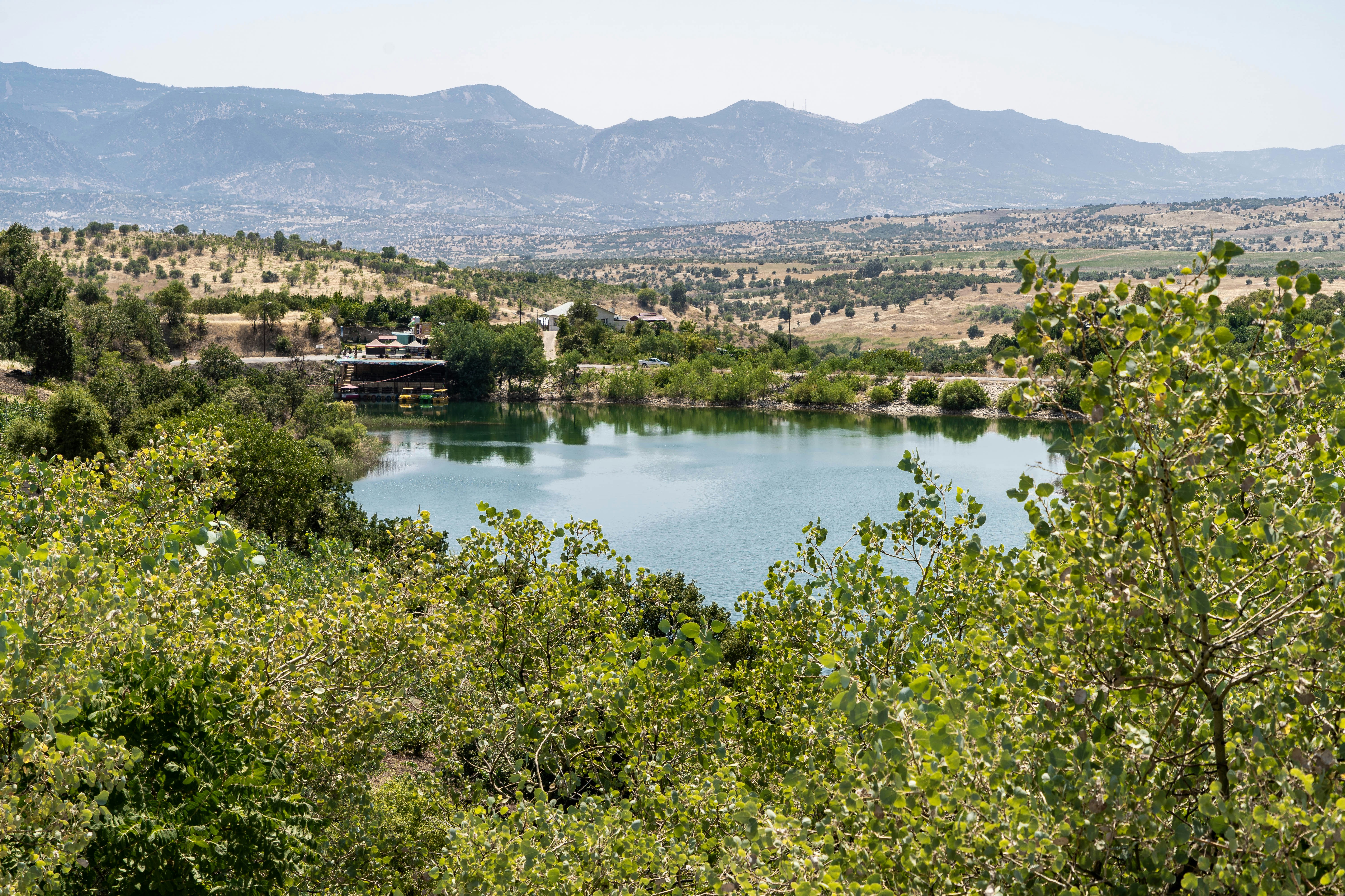 a large body of water surrounded by trees