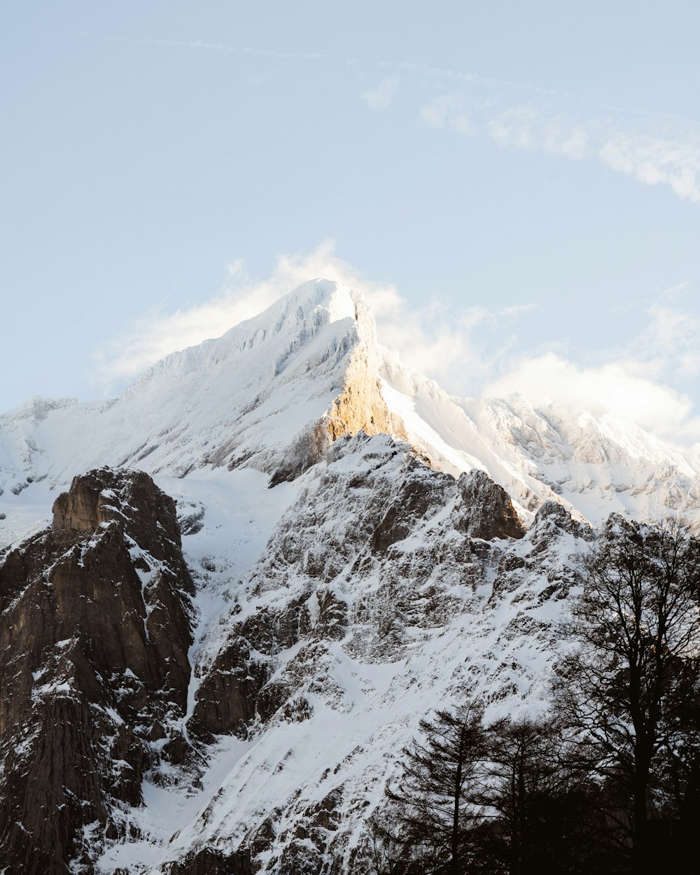 a snow covered mountain with trees in the foreground