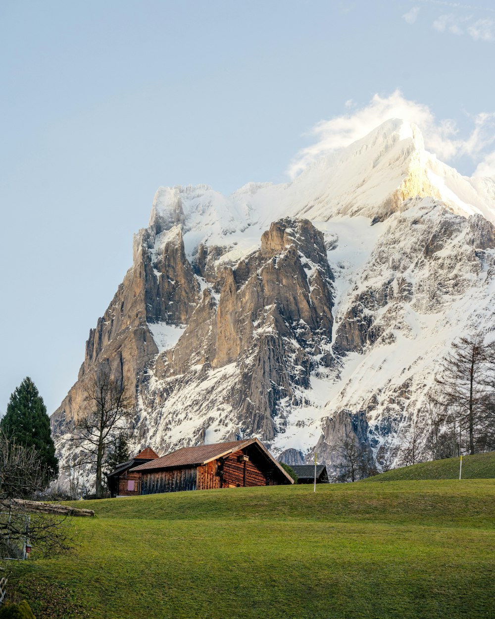 a house in a field with a mountain in the background