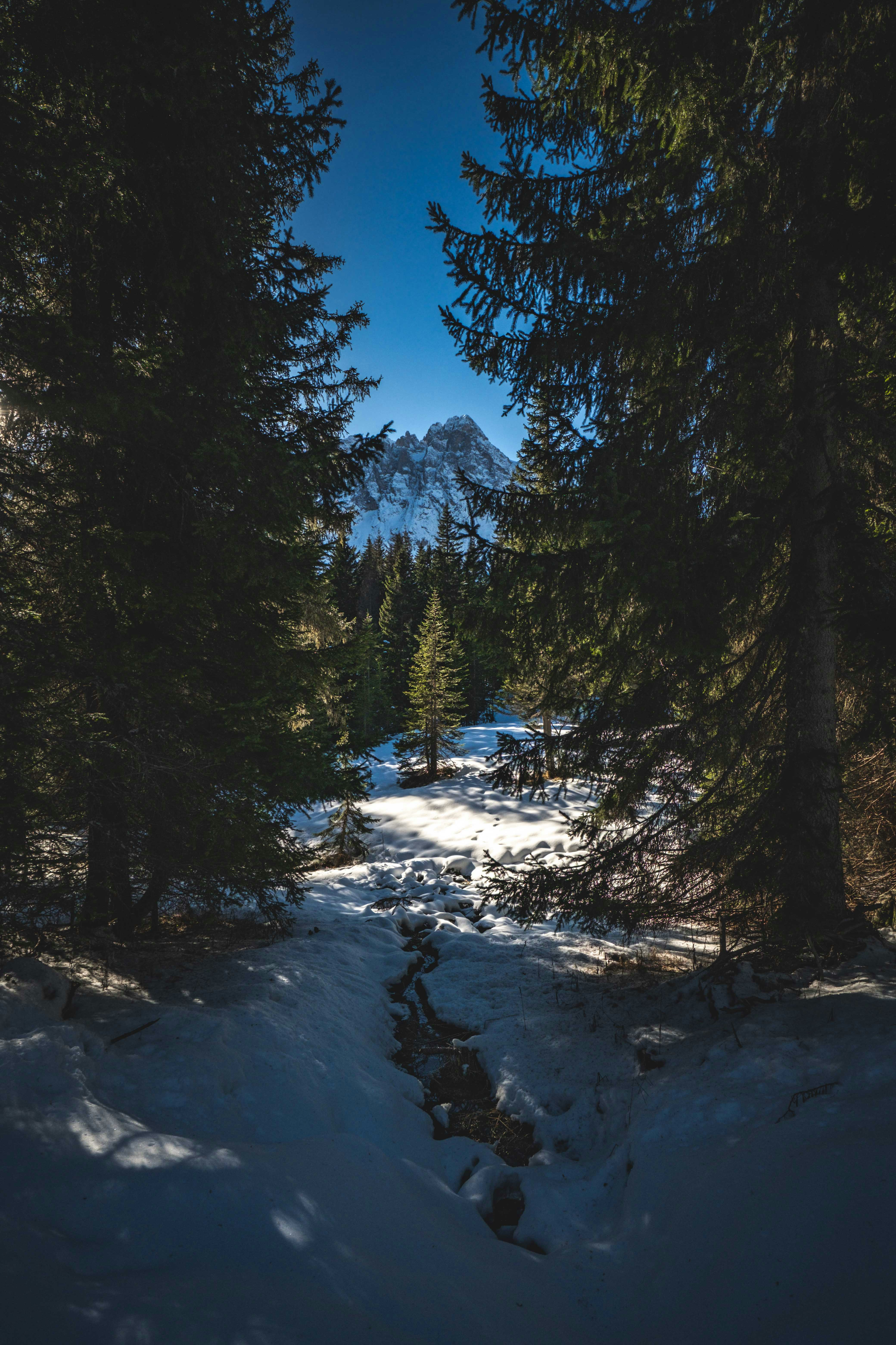 Photo by francesco_ungaro