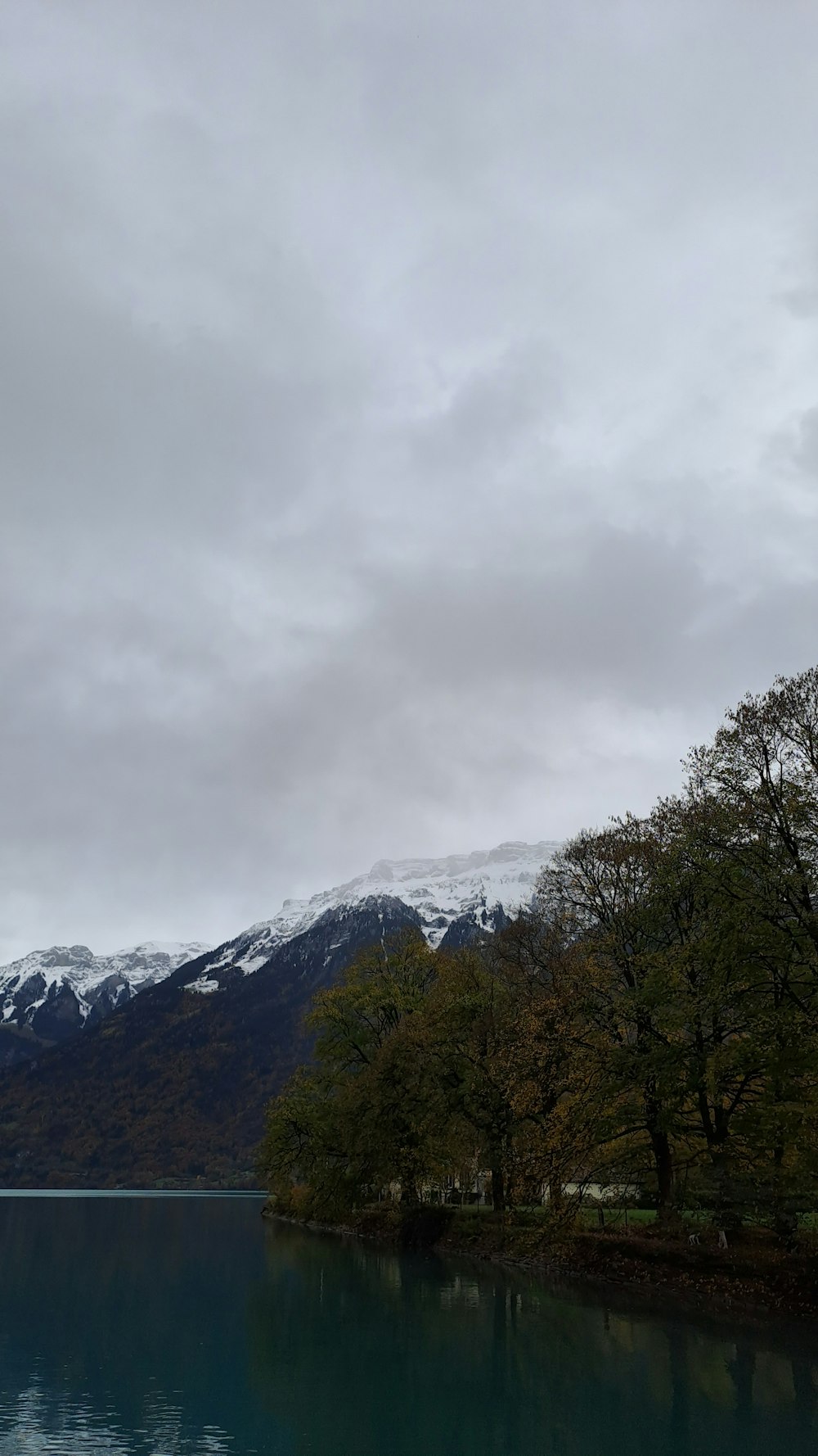 a body of water surrounded by trees and mountains