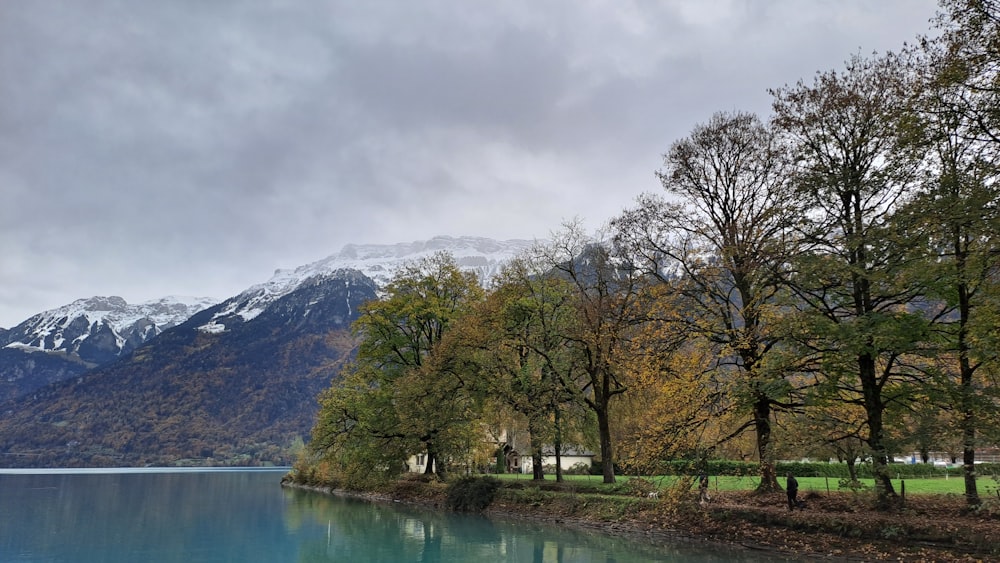 a body of water surrounded by trees and mountains