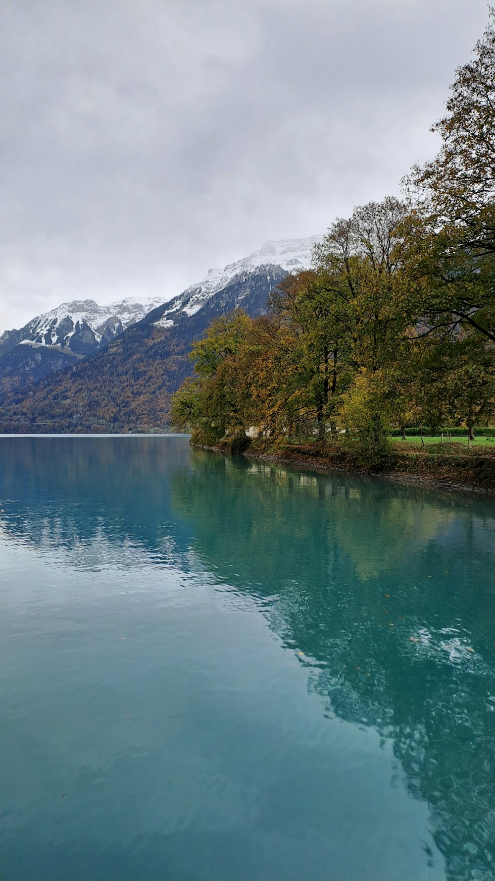 un plan d’eau entouré de montagnes et d’arbres