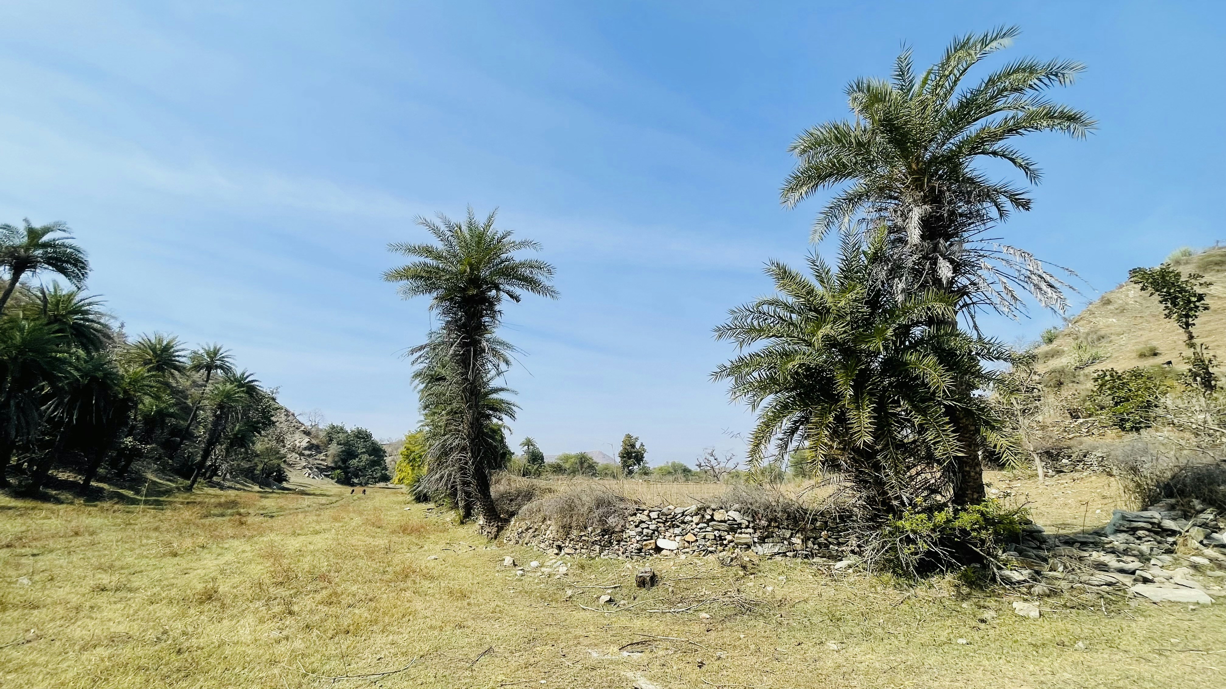 Photo by vikramudaipur