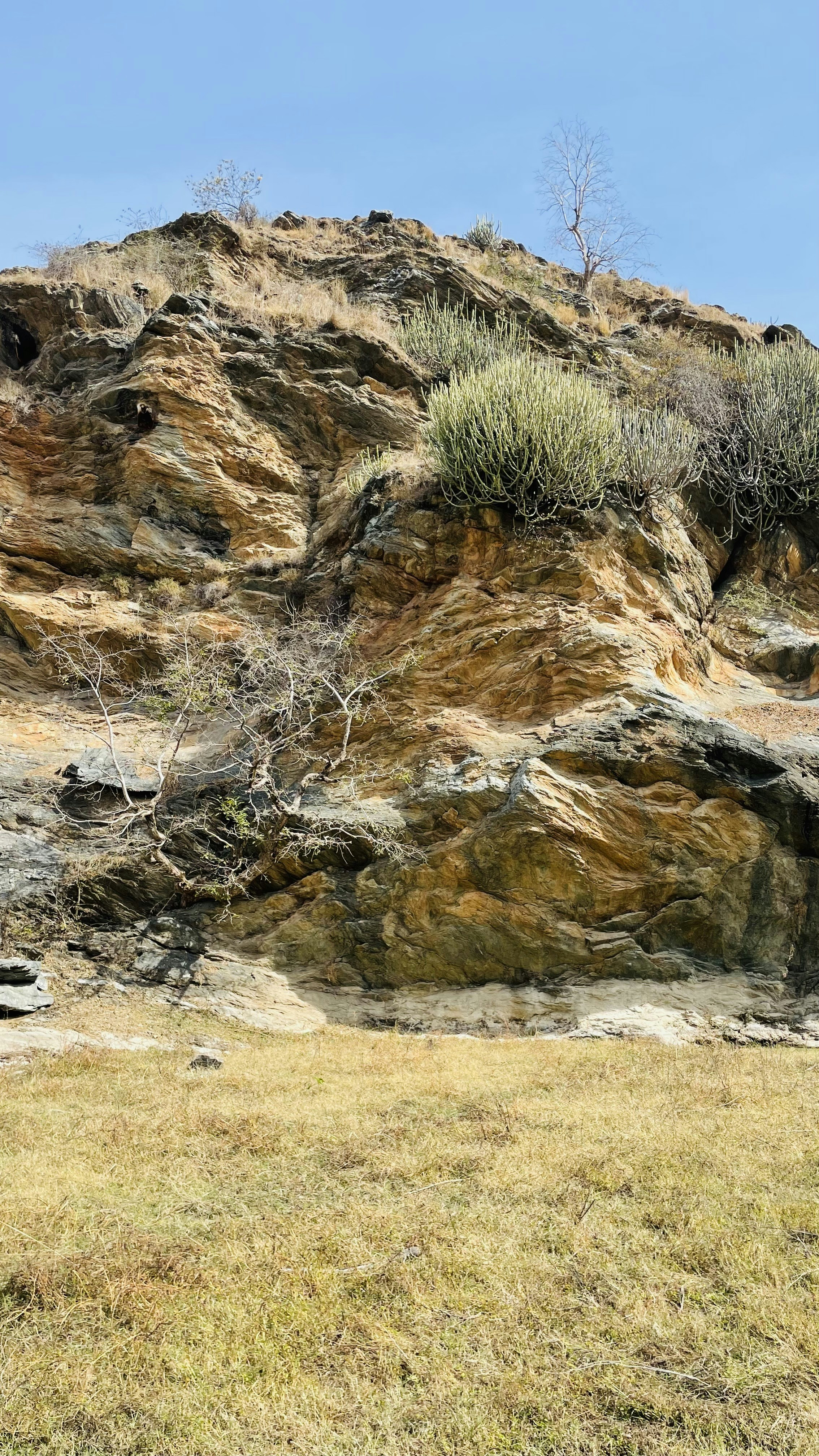 Photo by vikramudaipur