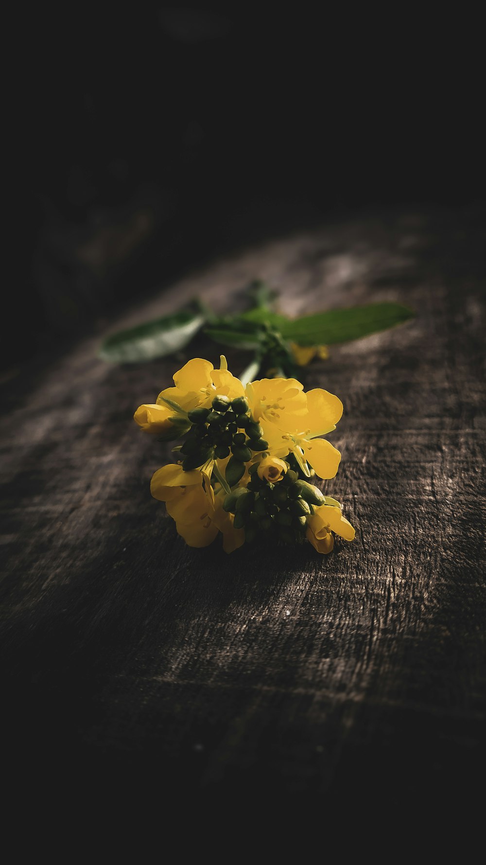 a bunch of yellow flowers sitting on top of a wooden table