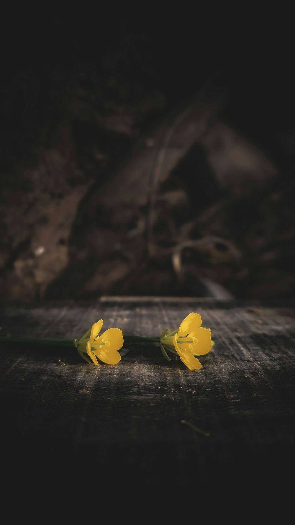 a couple of yellow flowers sitting on top of a wooden table