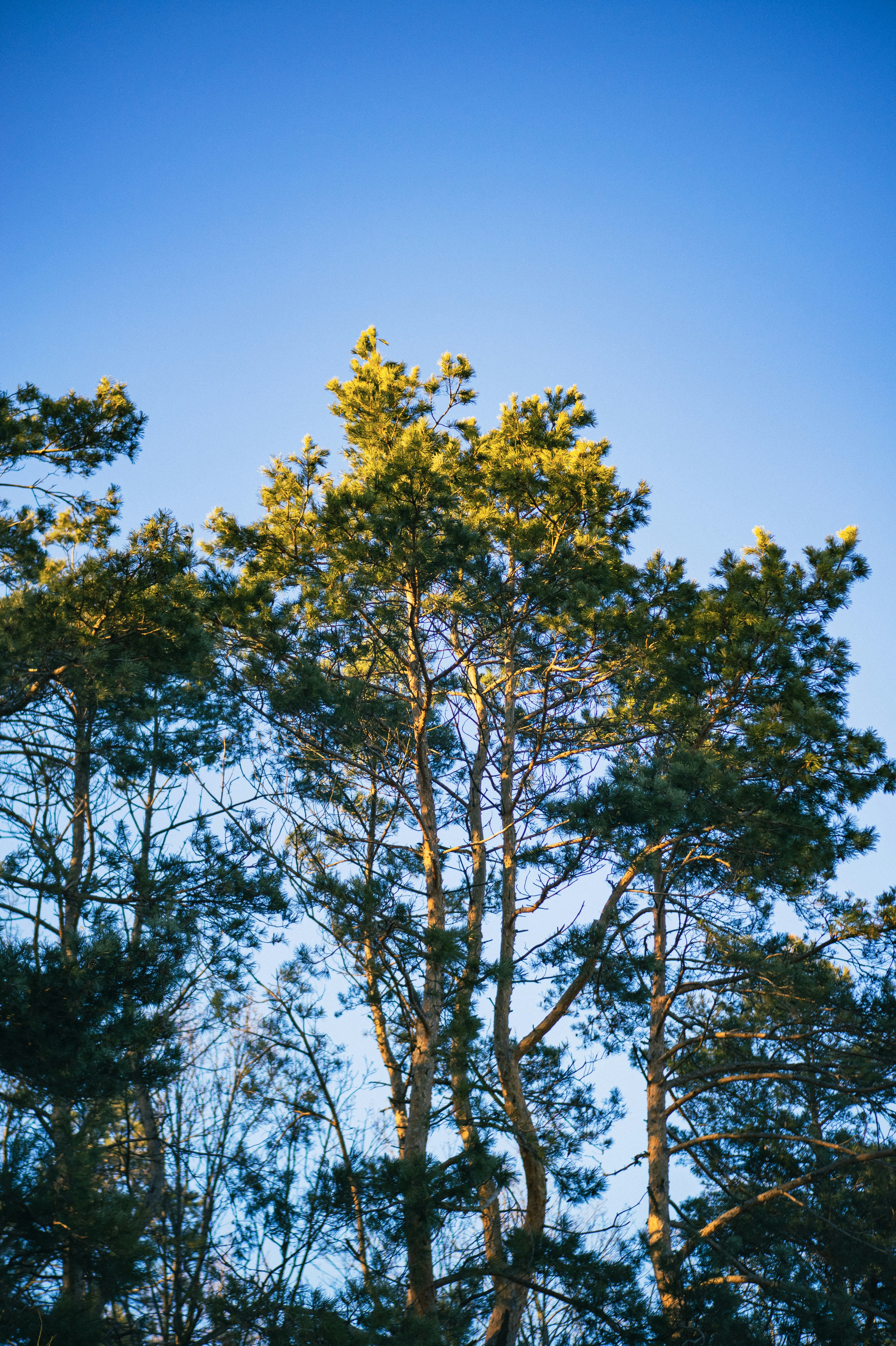 Photo by valentine_ivanova