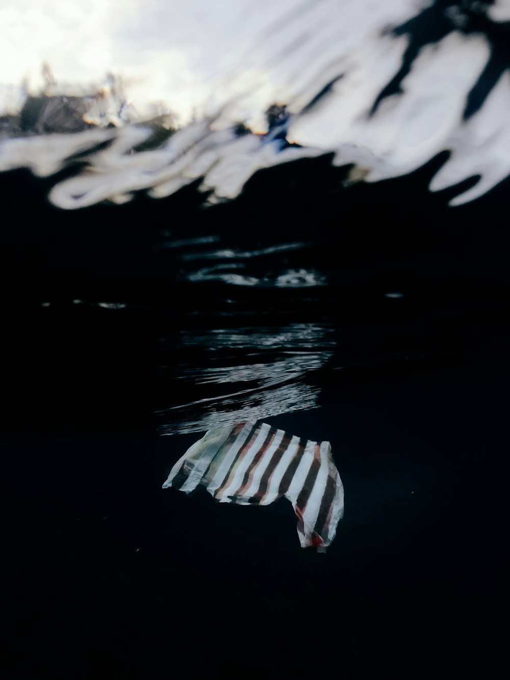 a piece of paper floating on top of a body of water