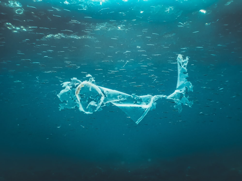 una imagen de una mujer flotando en el agua
