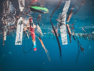 Plastic waste floating in ocean water, posing a threat to marine life