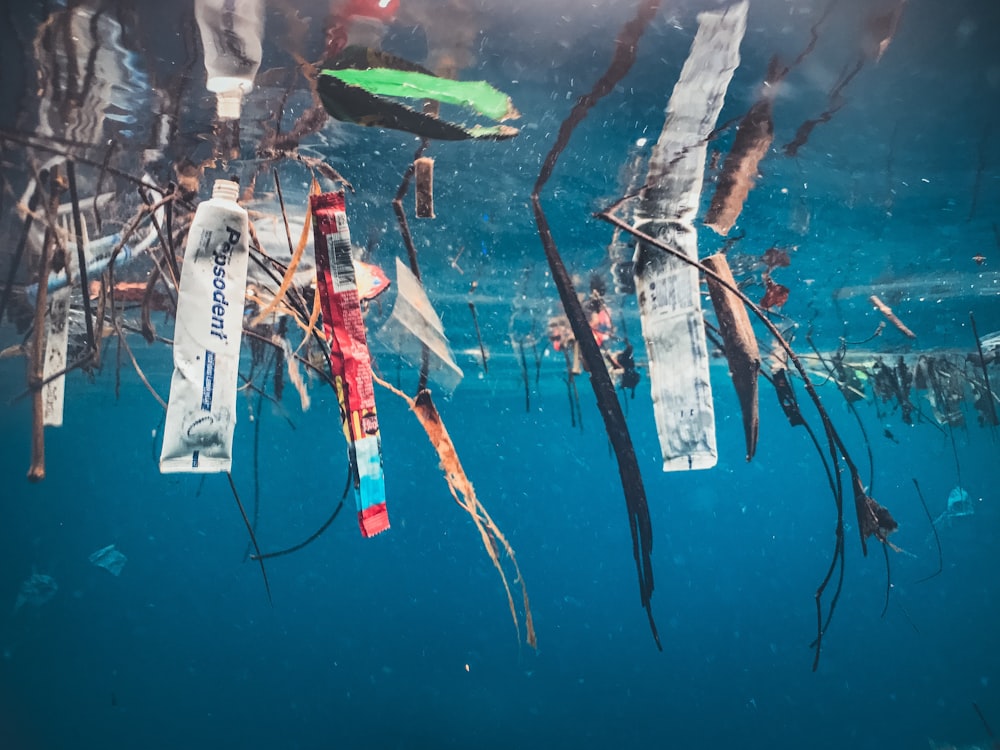 a group of items floating on top of a body of water