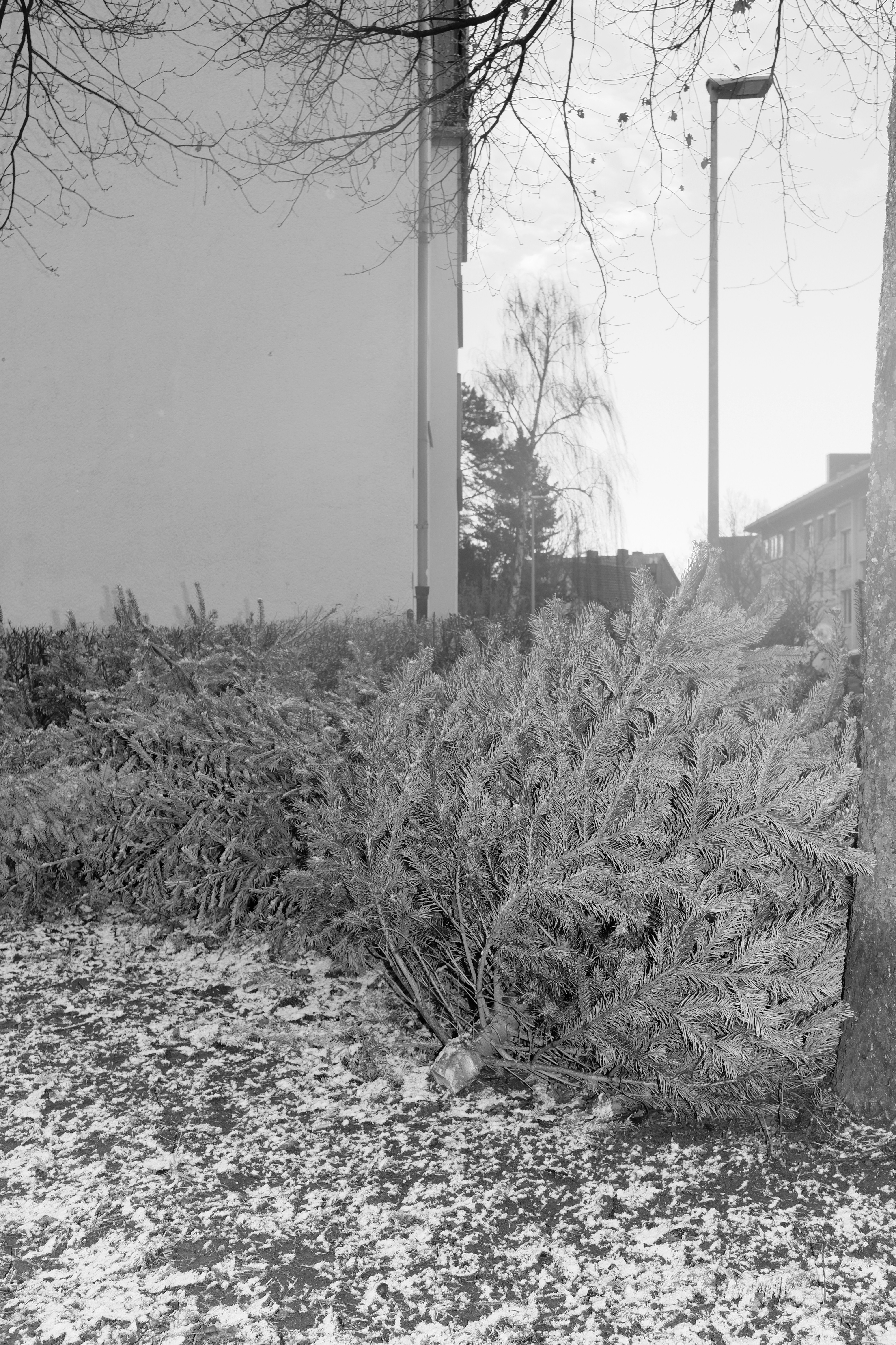 Photo by lukaswaldmann