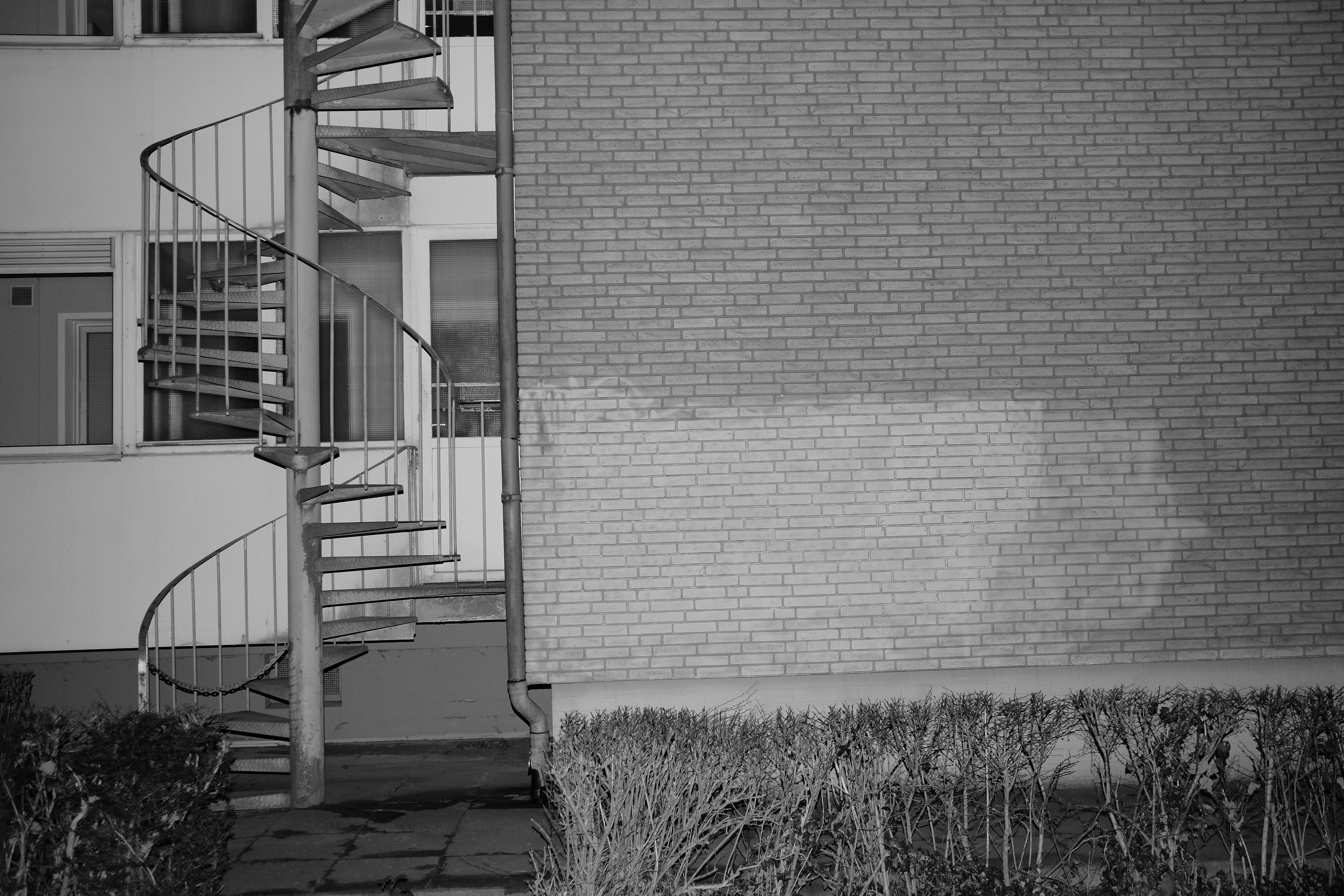 Photo by lukaswaldmann