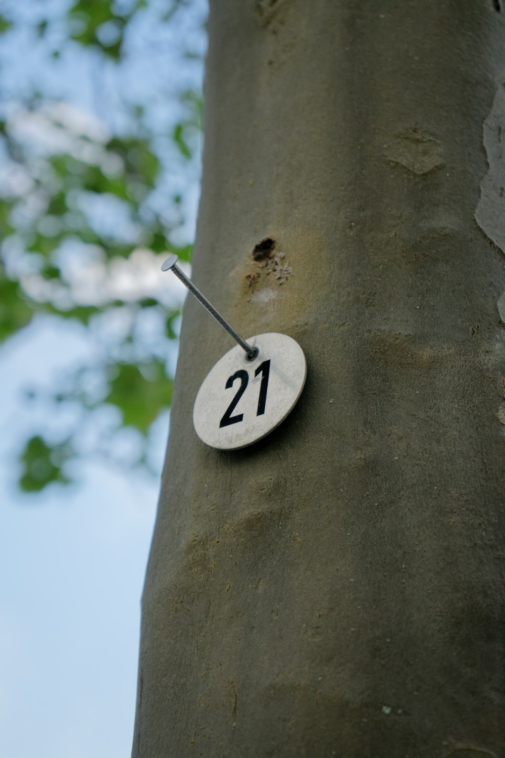 a tree that has a number on it