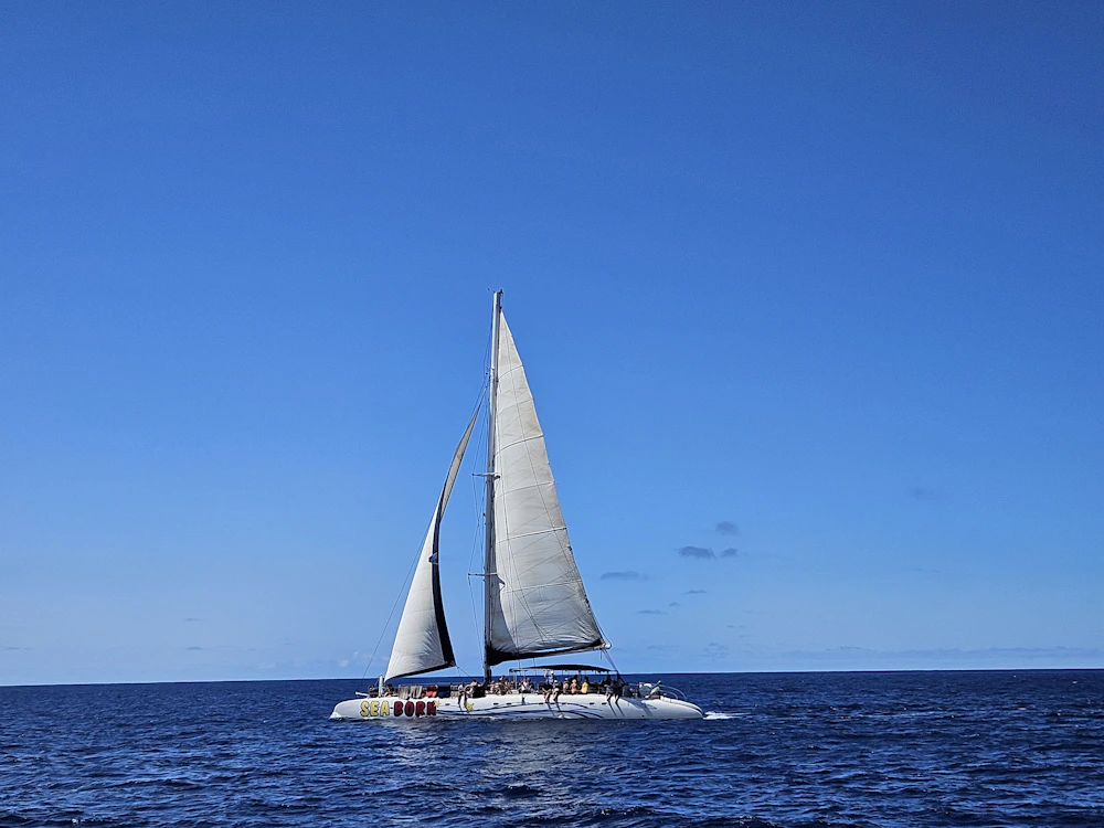 Swan 80: Why the Under-24-Metre Maxi Matters in the Mediterranean