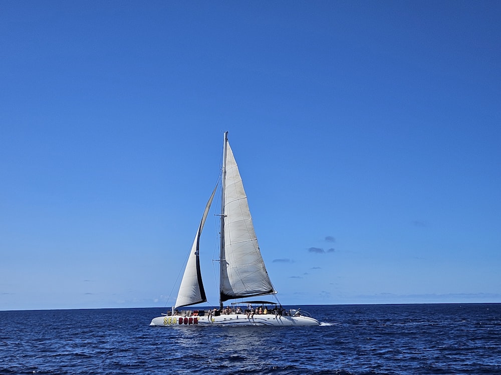 Un velero navega en mar abierto