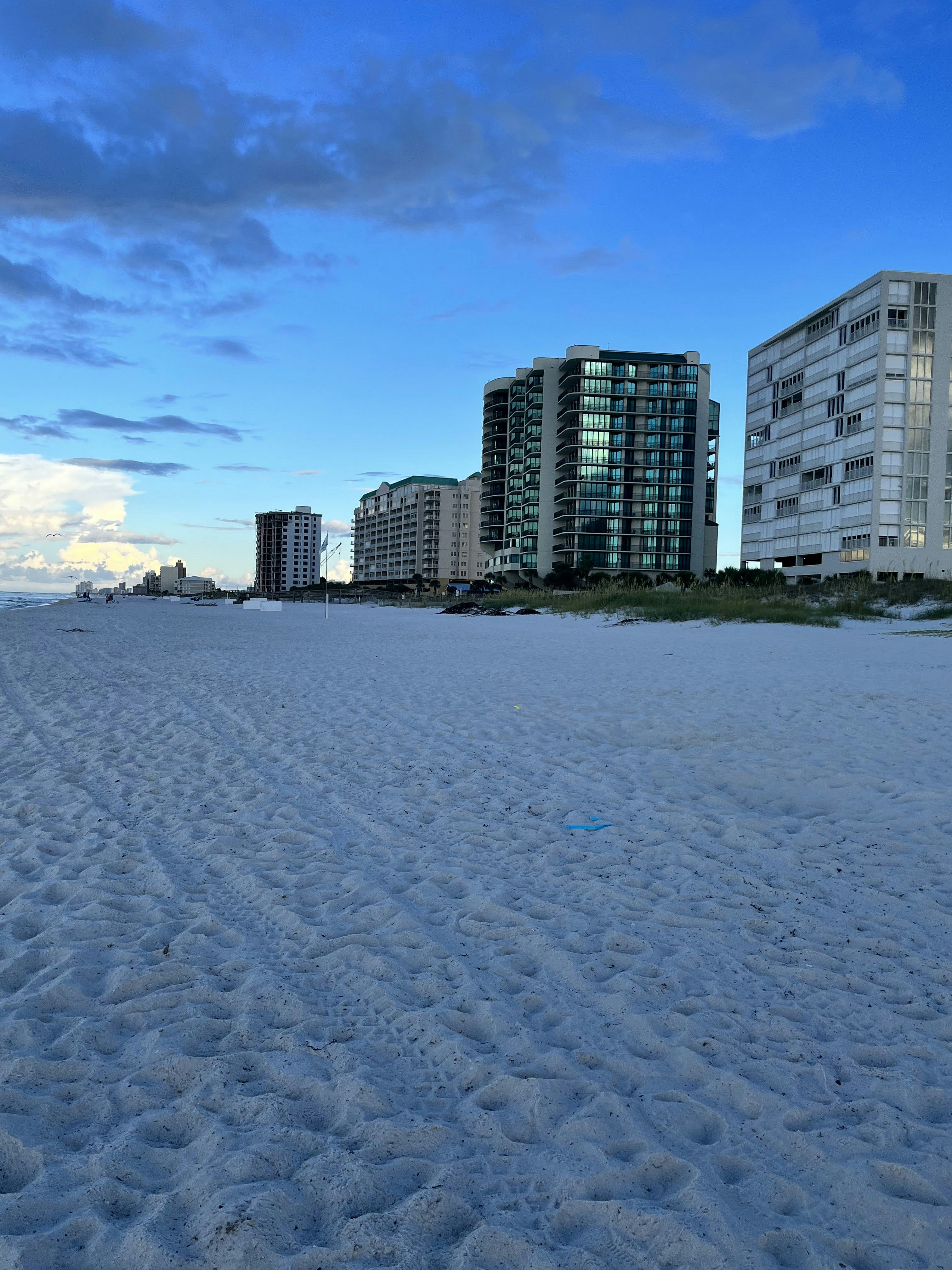 Photo by prunuspersica