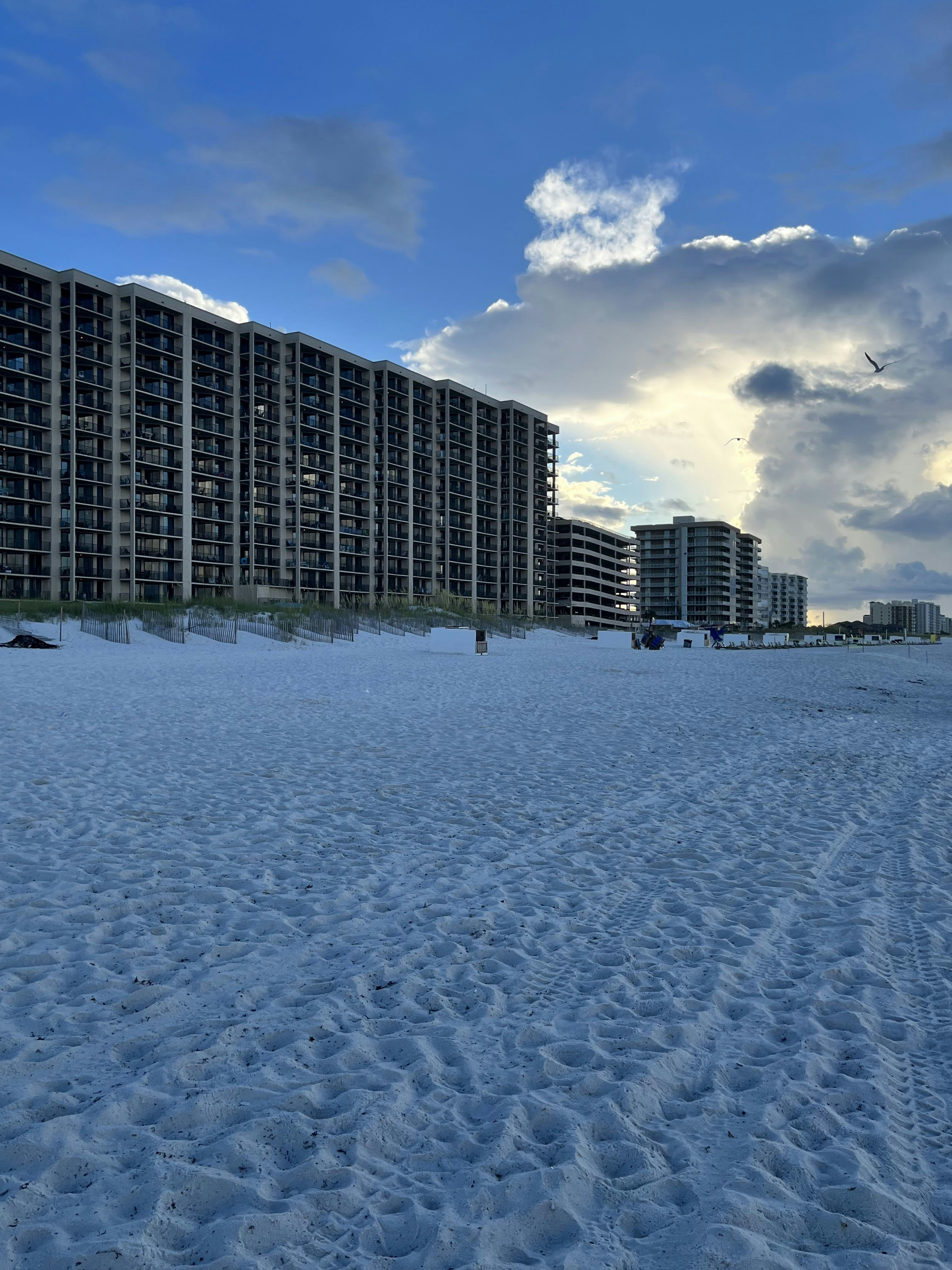 Photo by prunuspersica