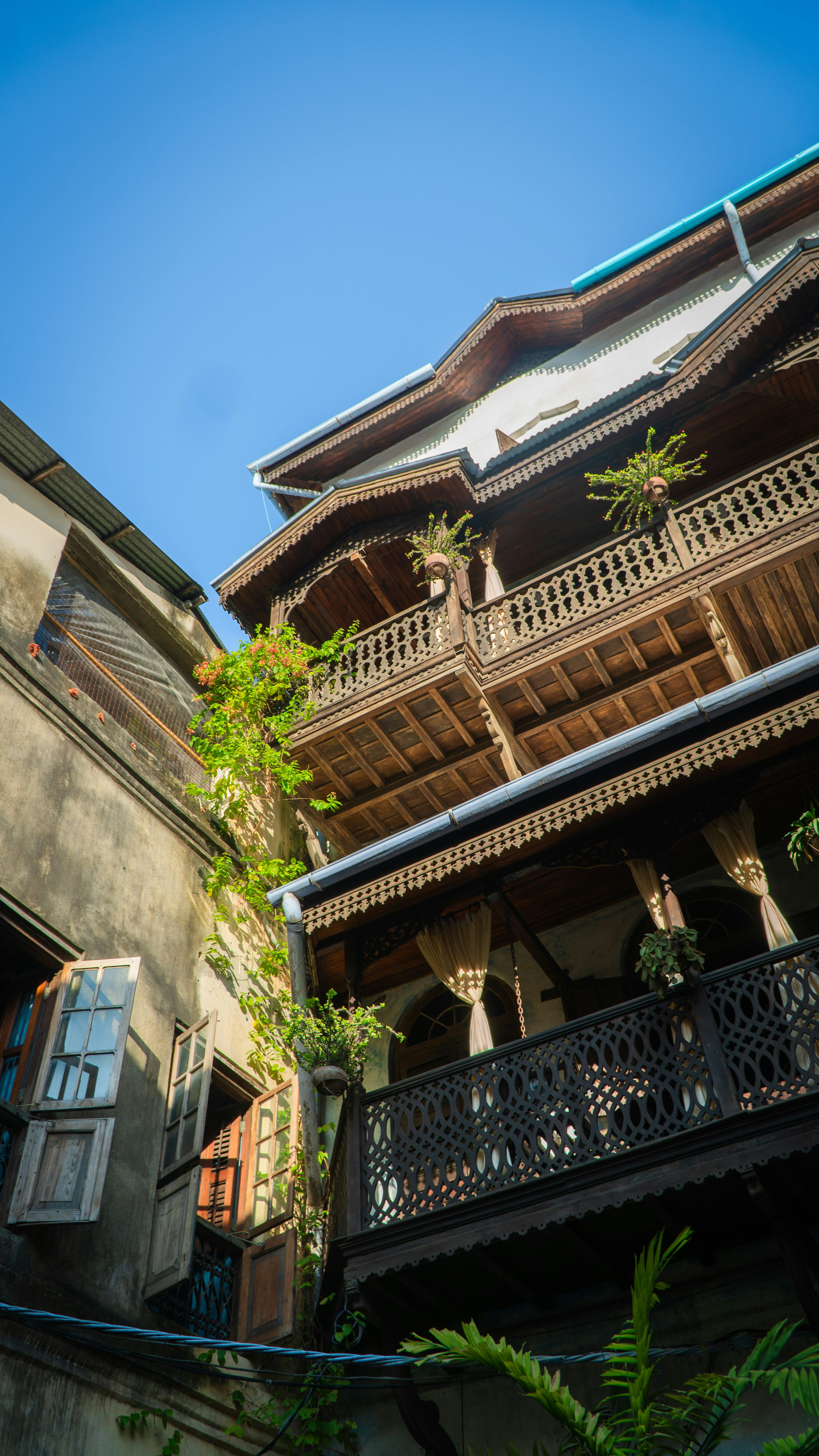 Photo by bartvanderlugt