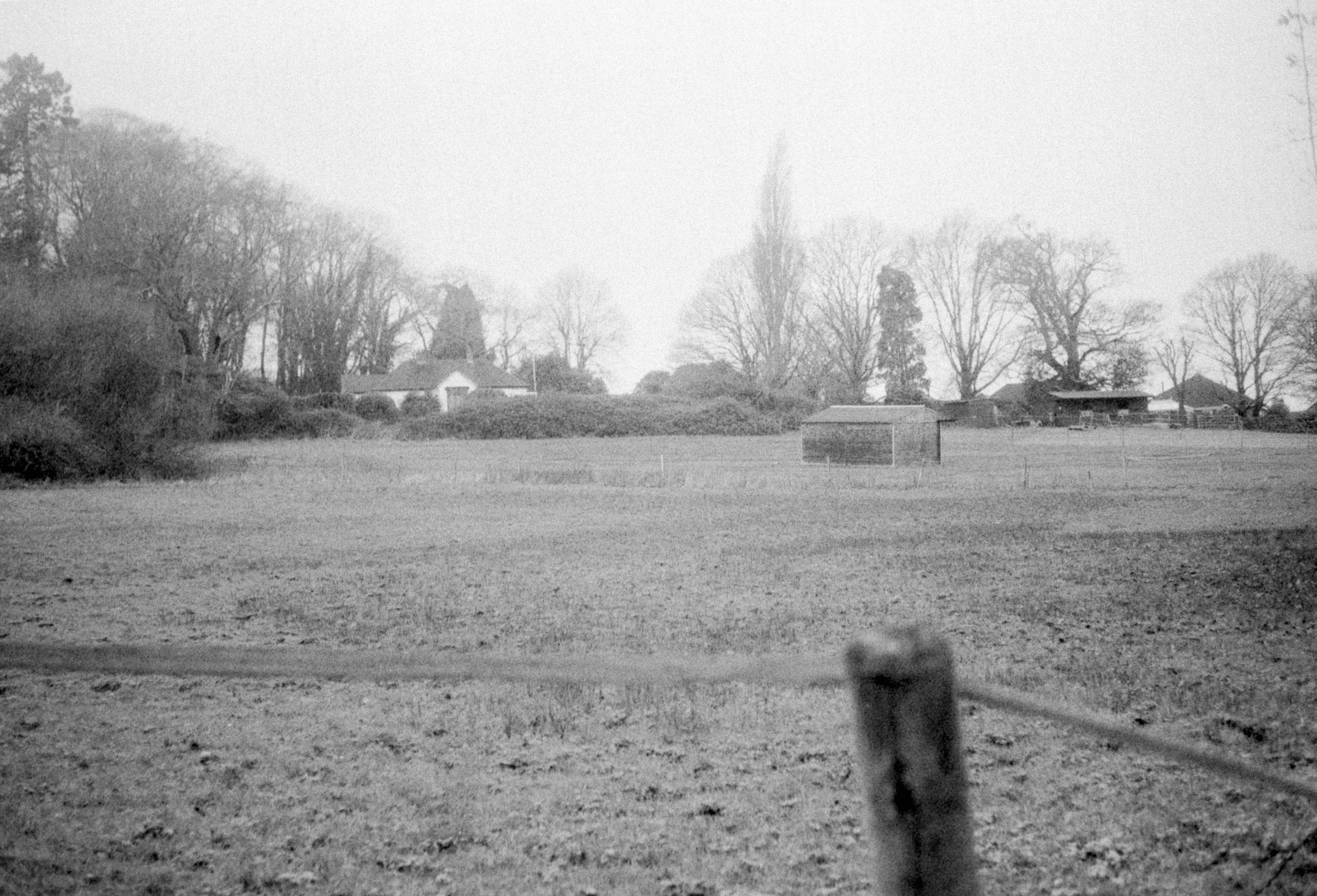 Photo by anniespratt