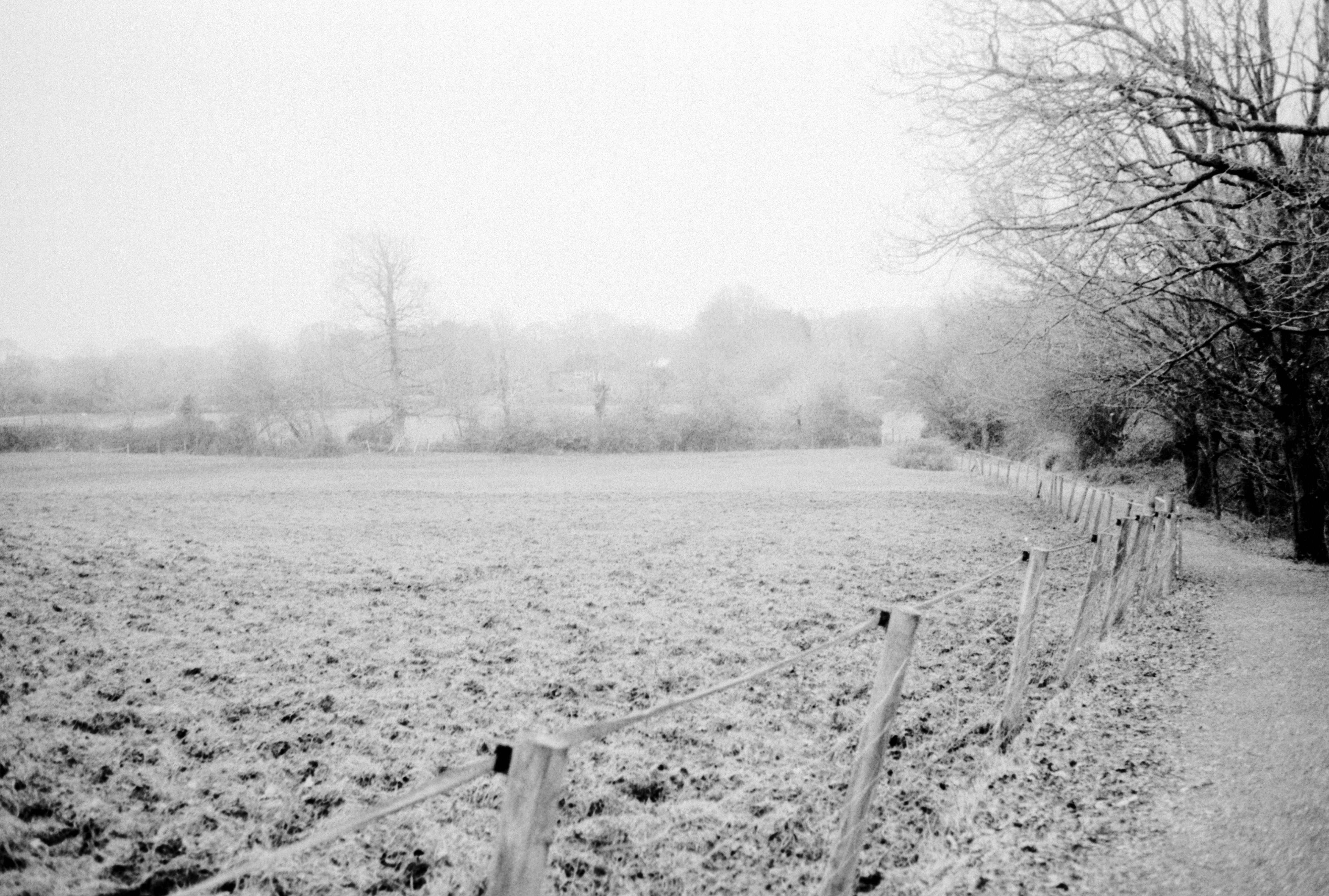 Photo by anniespratt