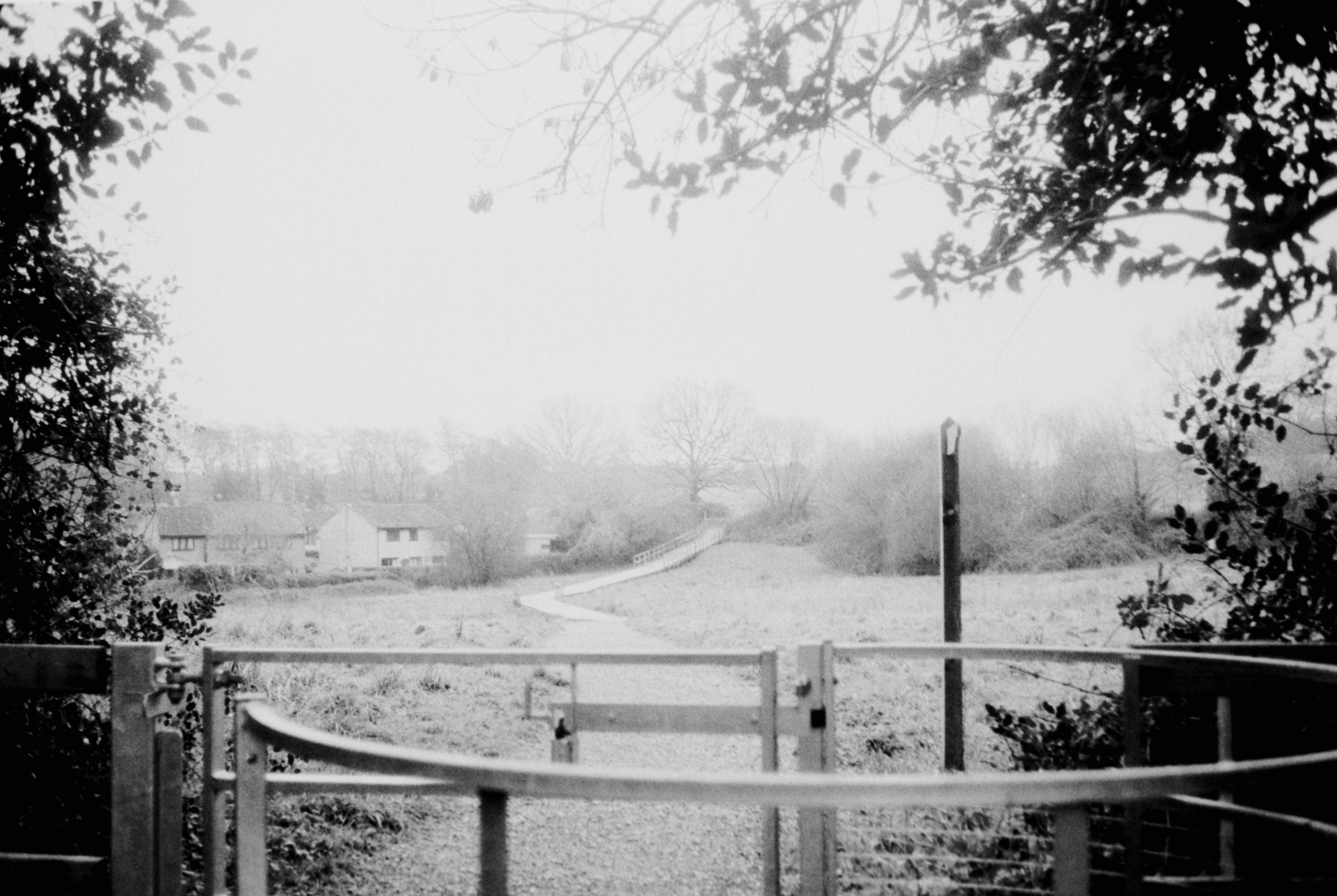 Photo by anniespratt