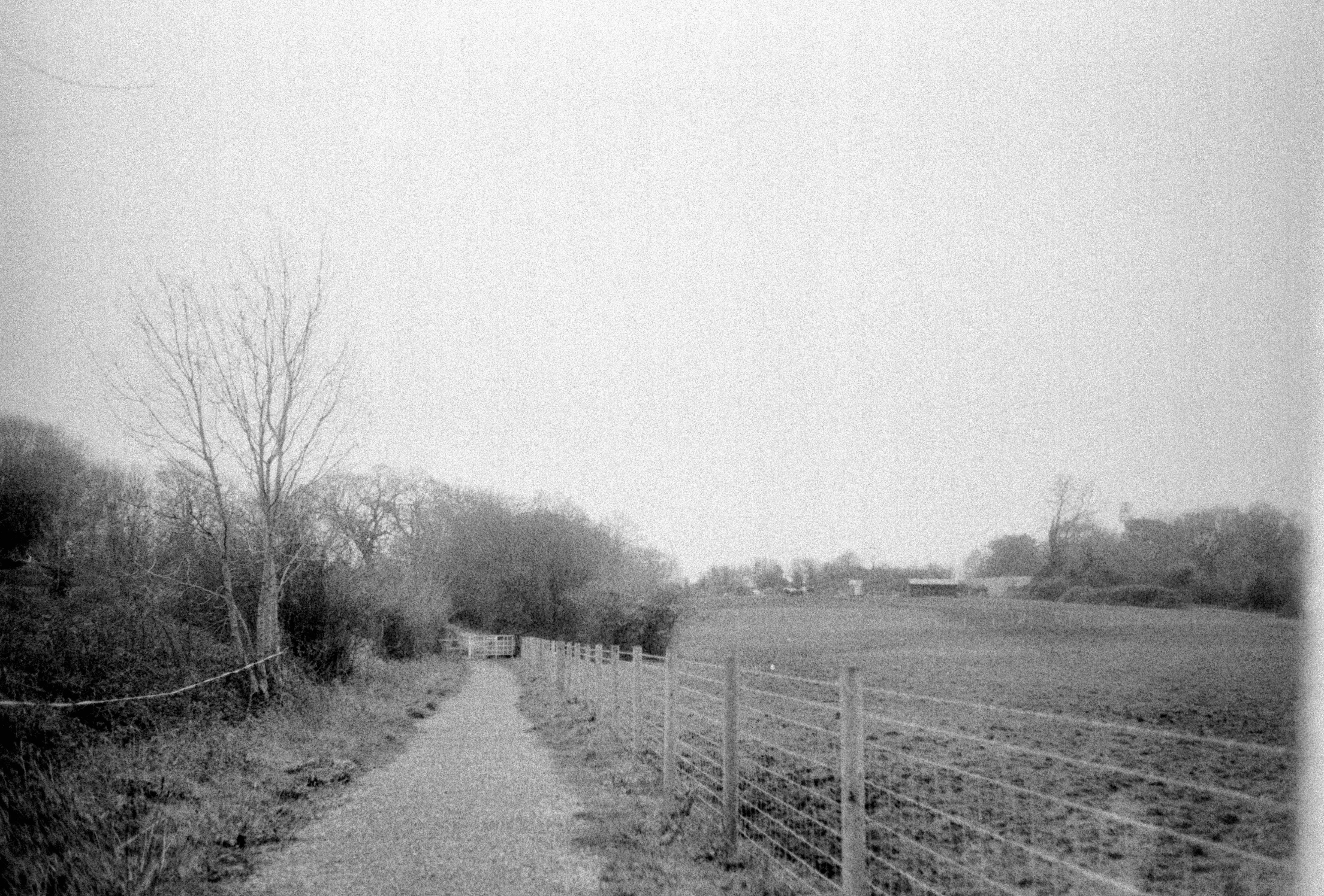 Photo by anniespratt