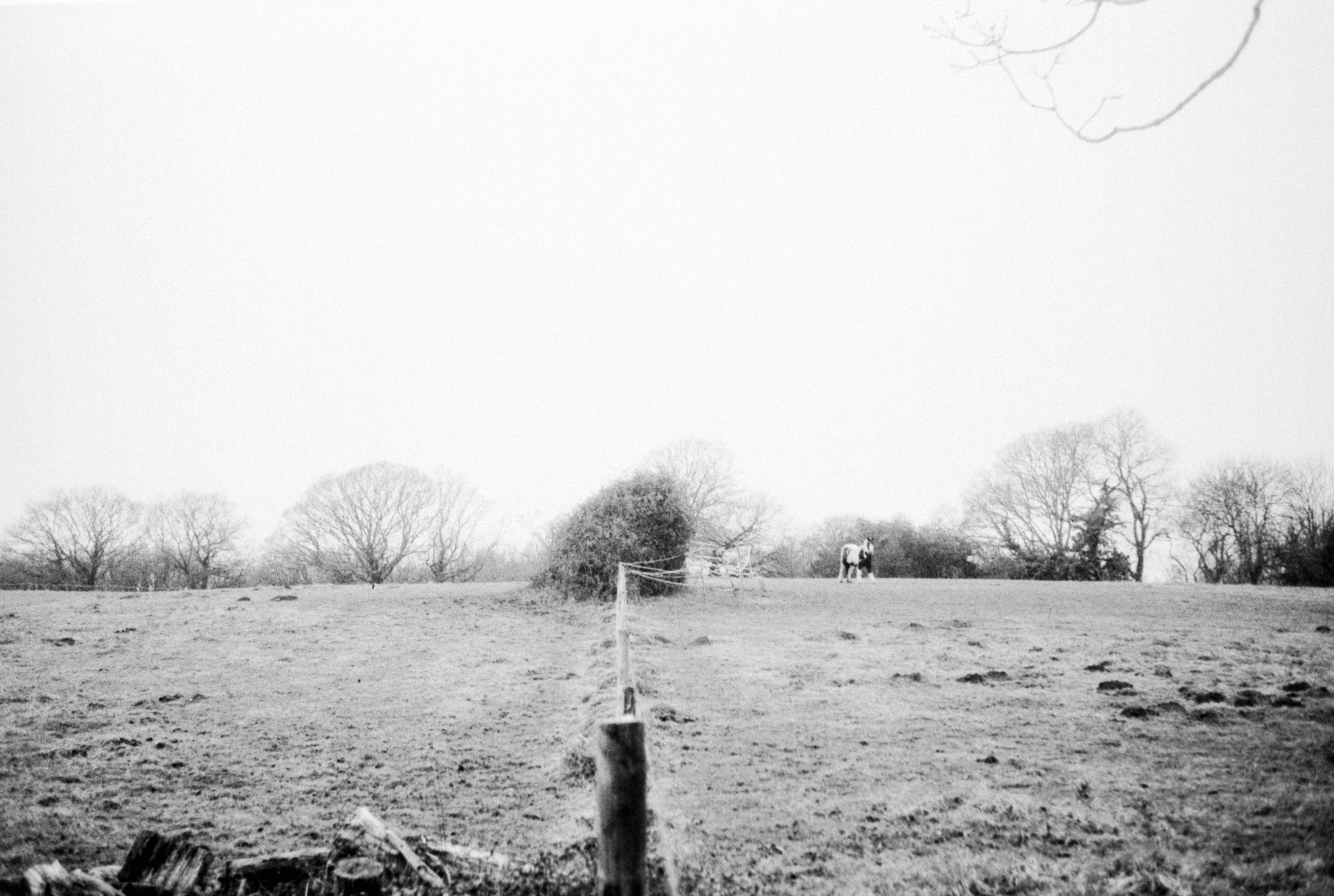 Photo by anniespratt