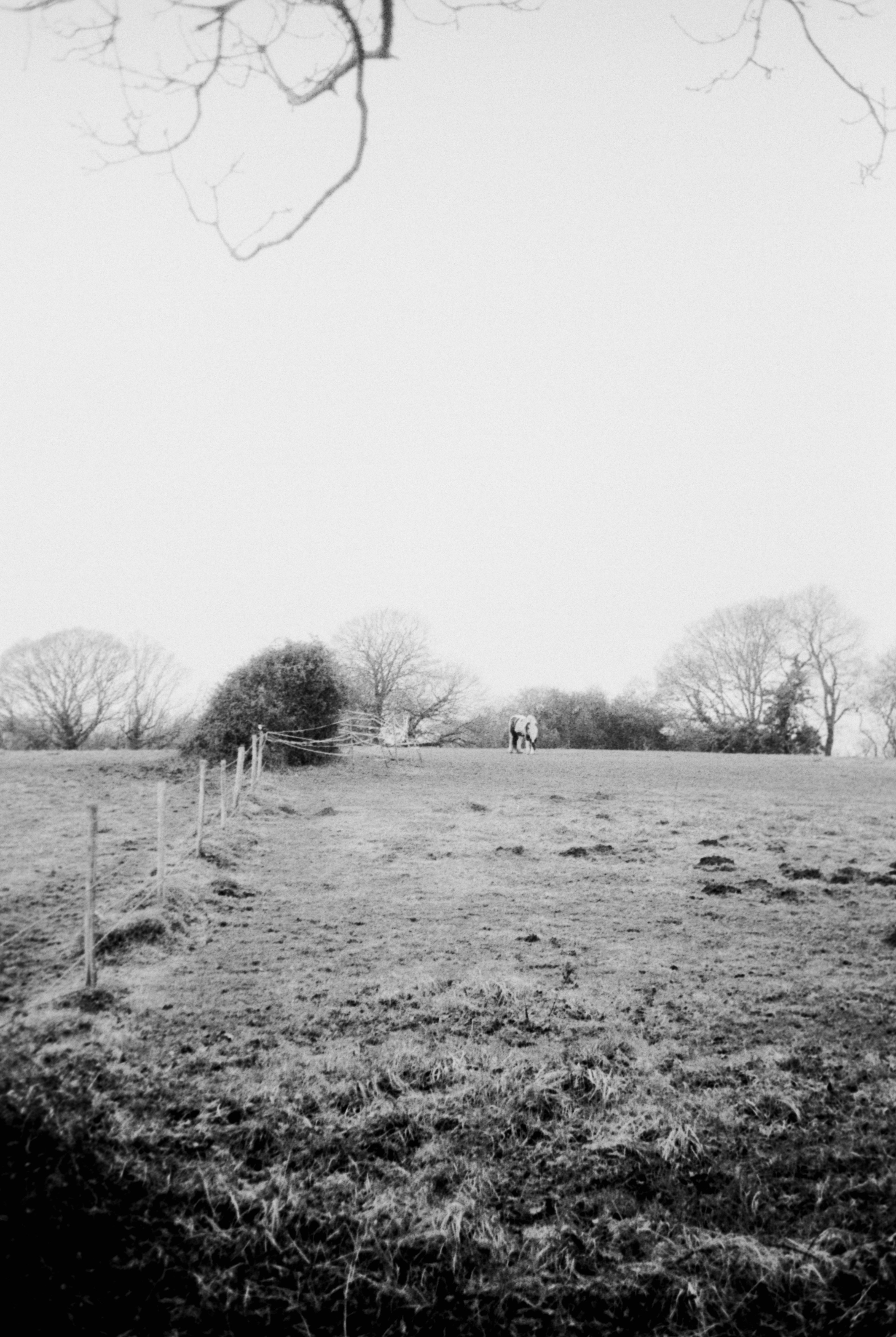 Photo by anniespratt