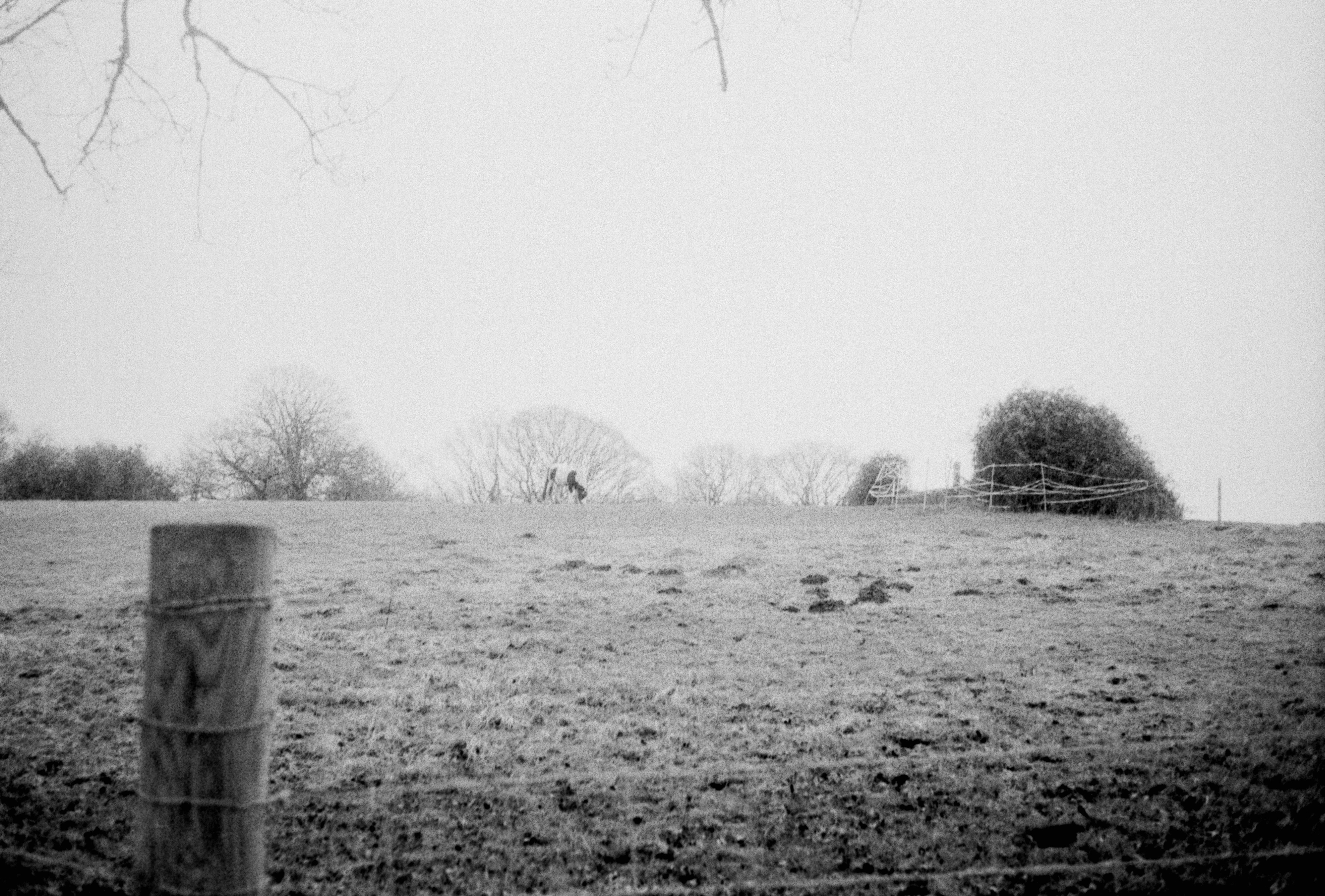 Photo by anniespratt